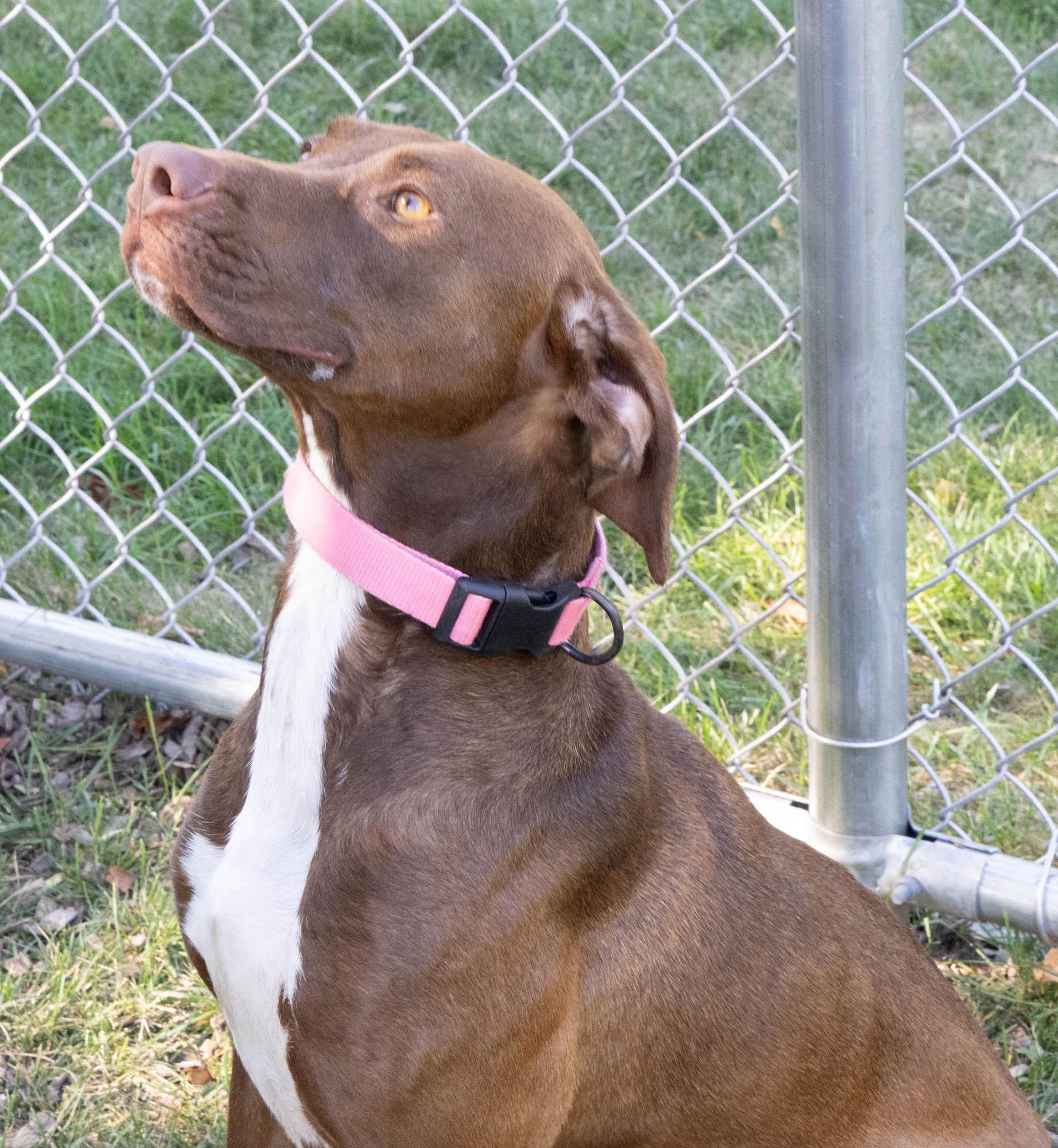 Nutmeg (Not on-Site)