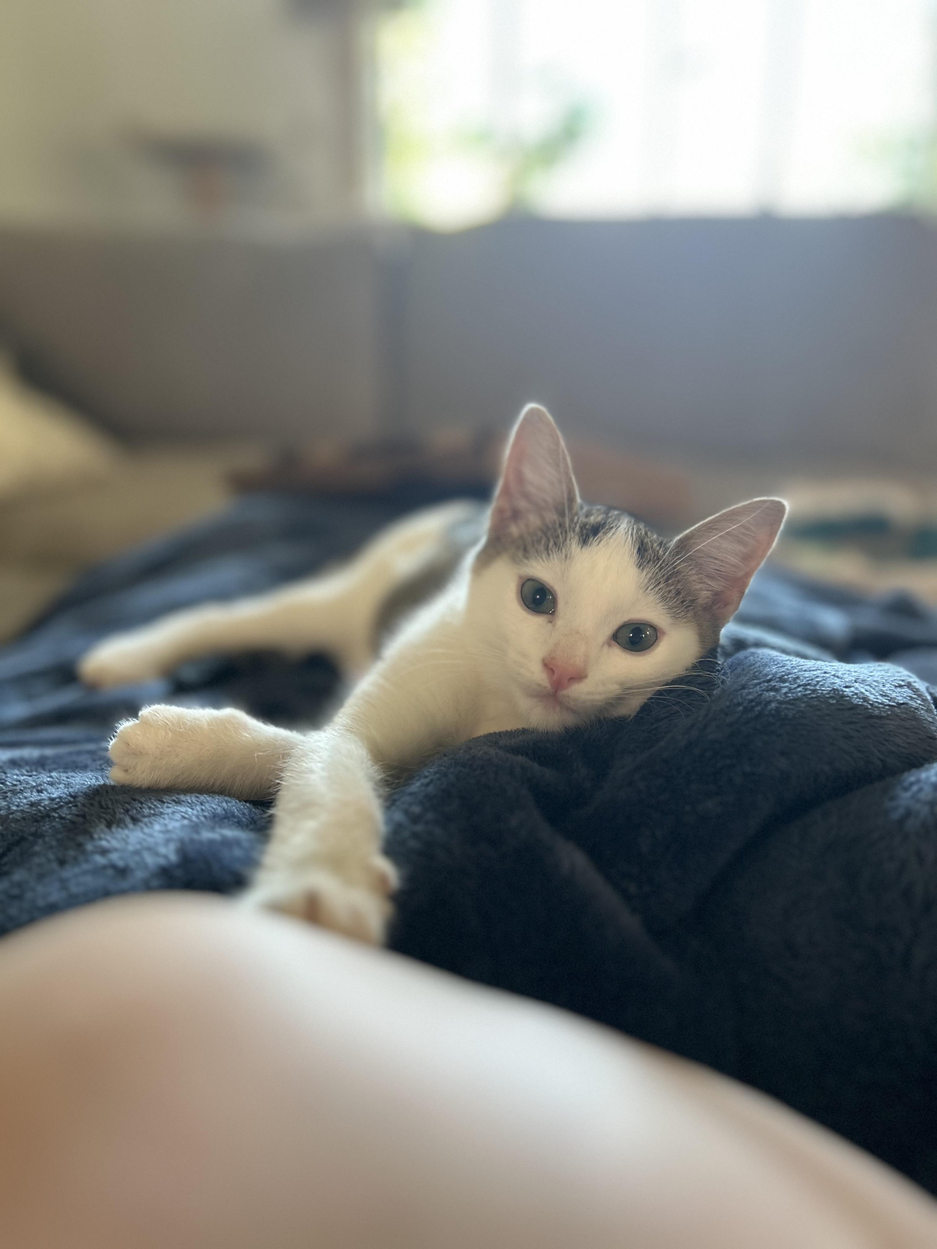 Stanley