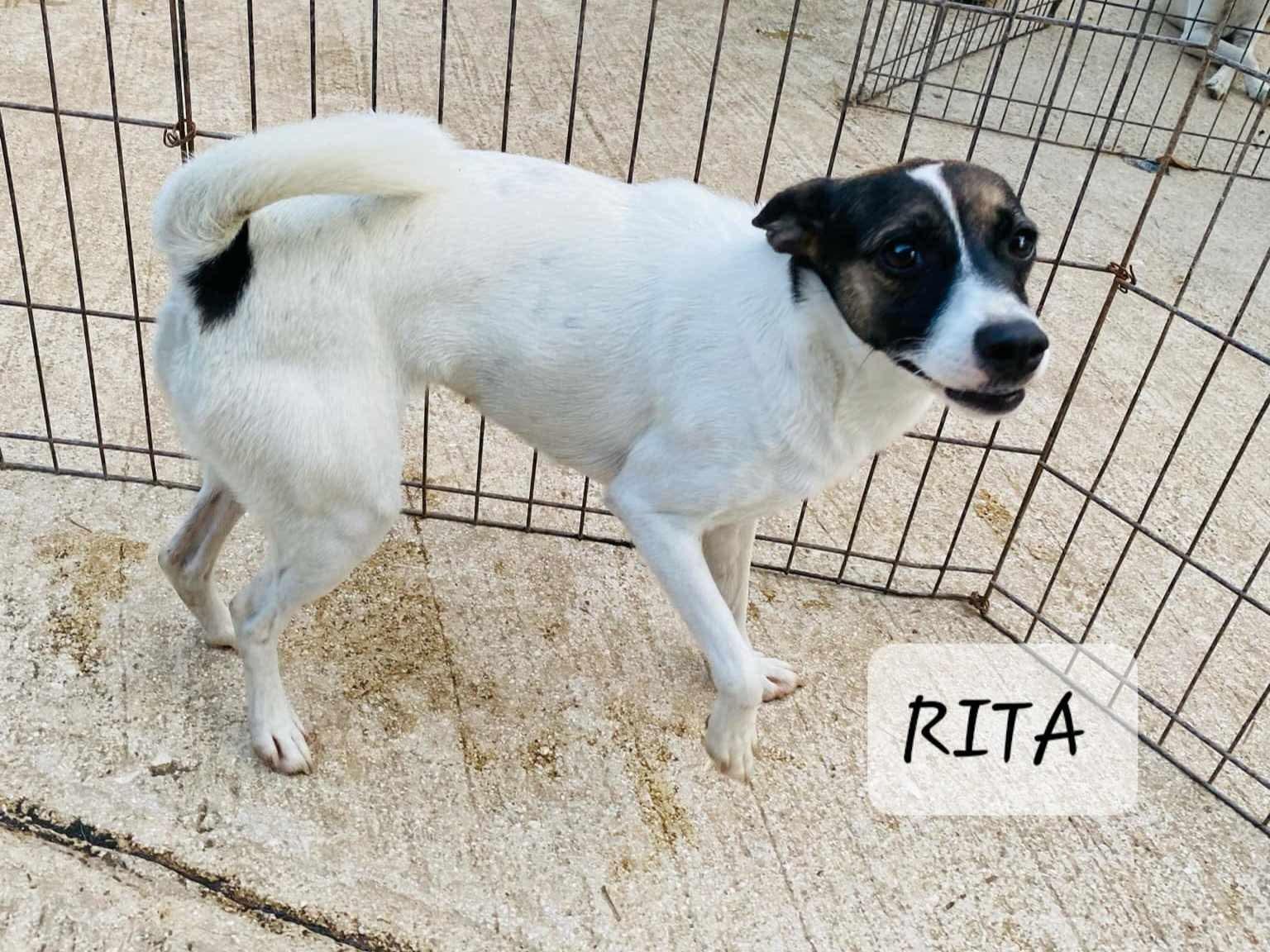 Rita photo 1