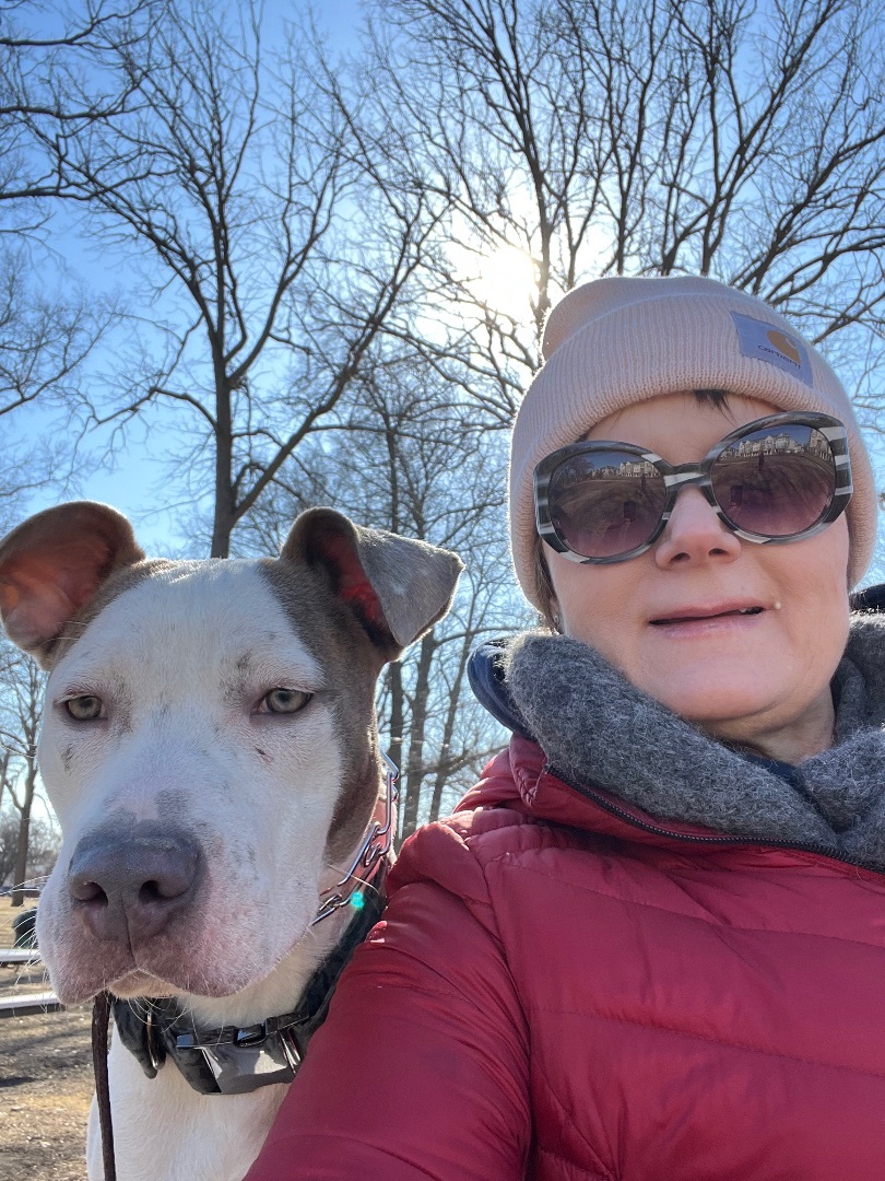 Enlarge Scratchman, a Adopted mixed breed in Pleasant Ridge, MI image 2/6