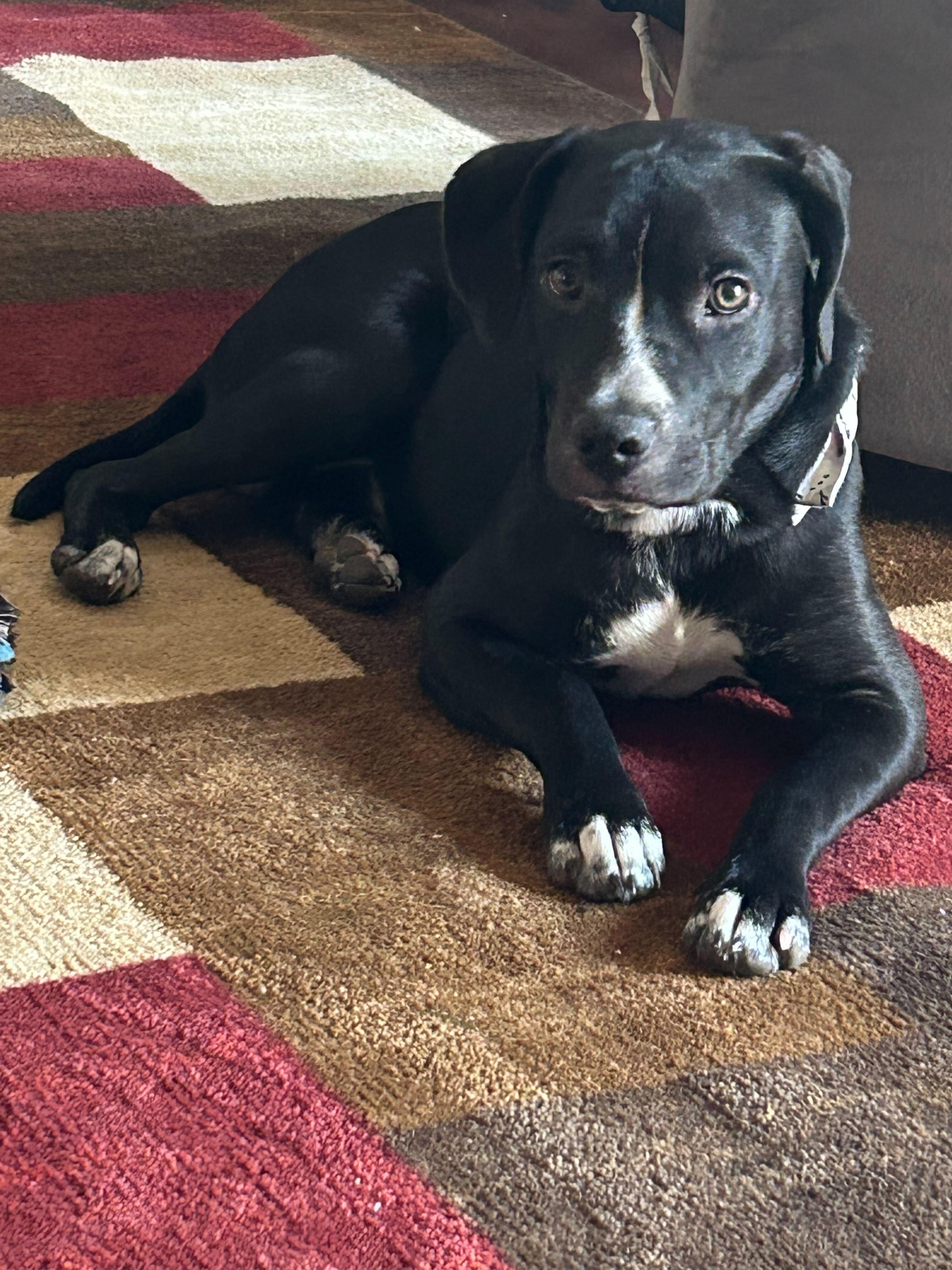 Roscoe p Coletrain (Courtesy Post)