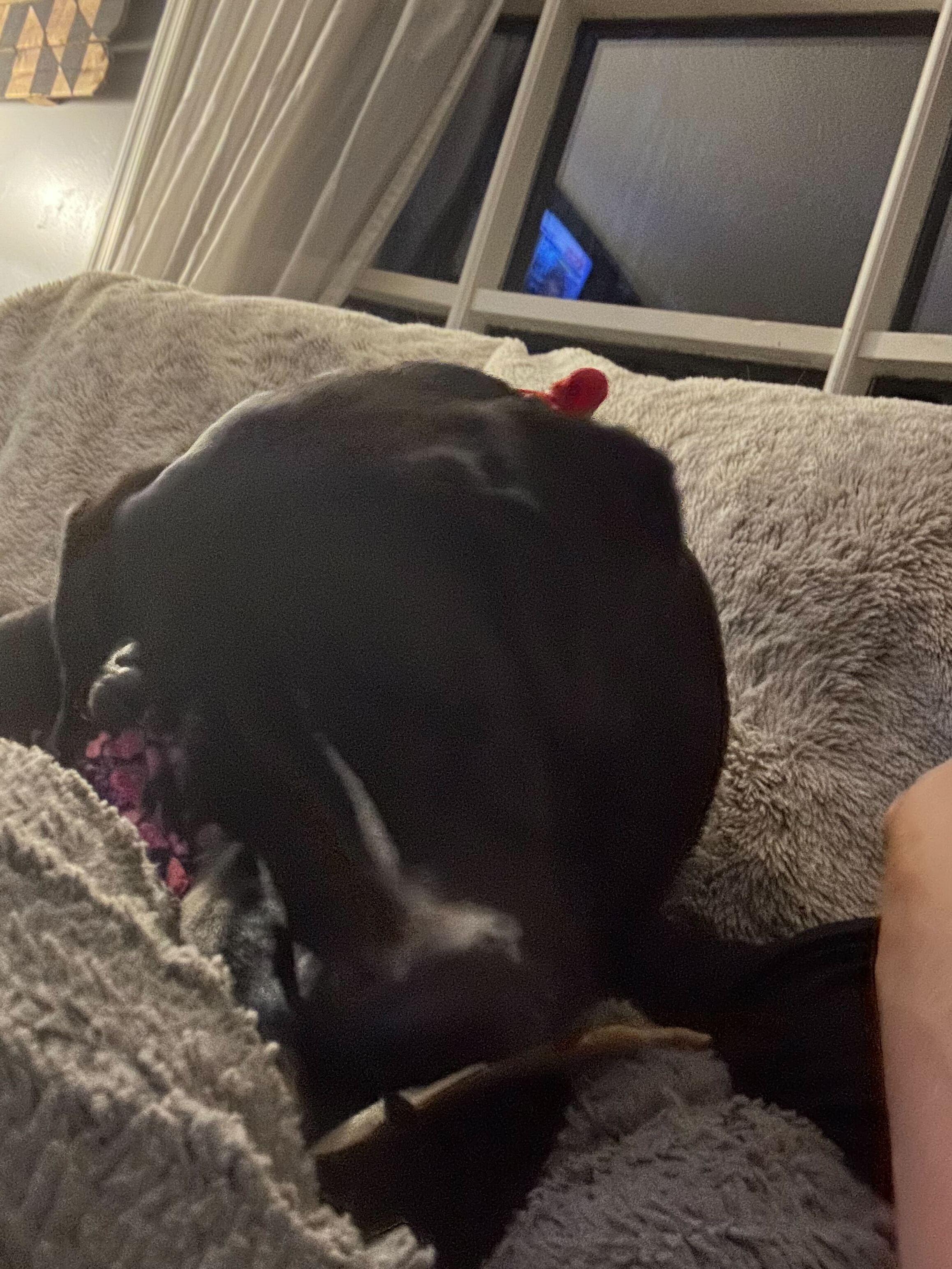 Roscoe p Coletrain (Courtesy Post)