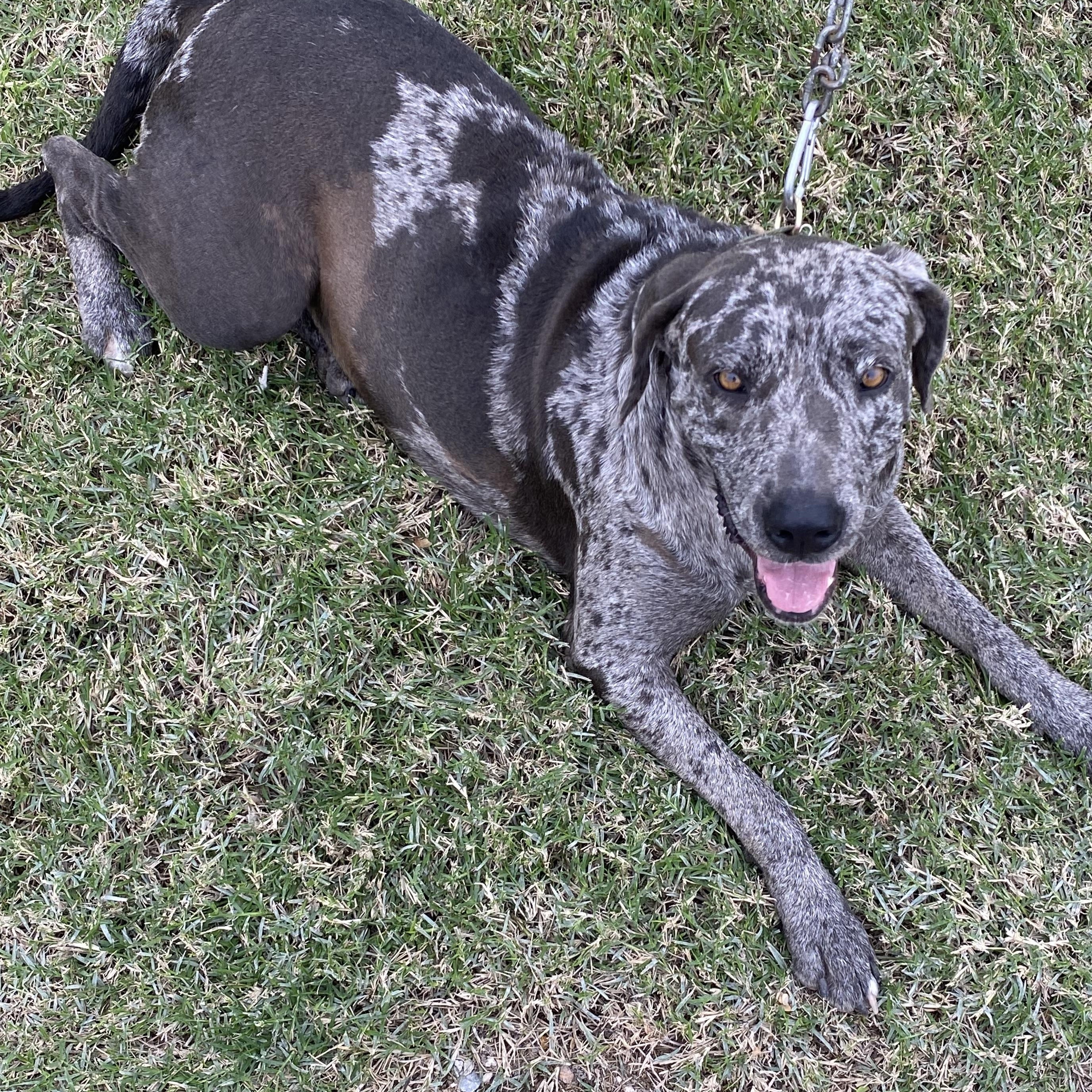 Marla — thumbnail 2