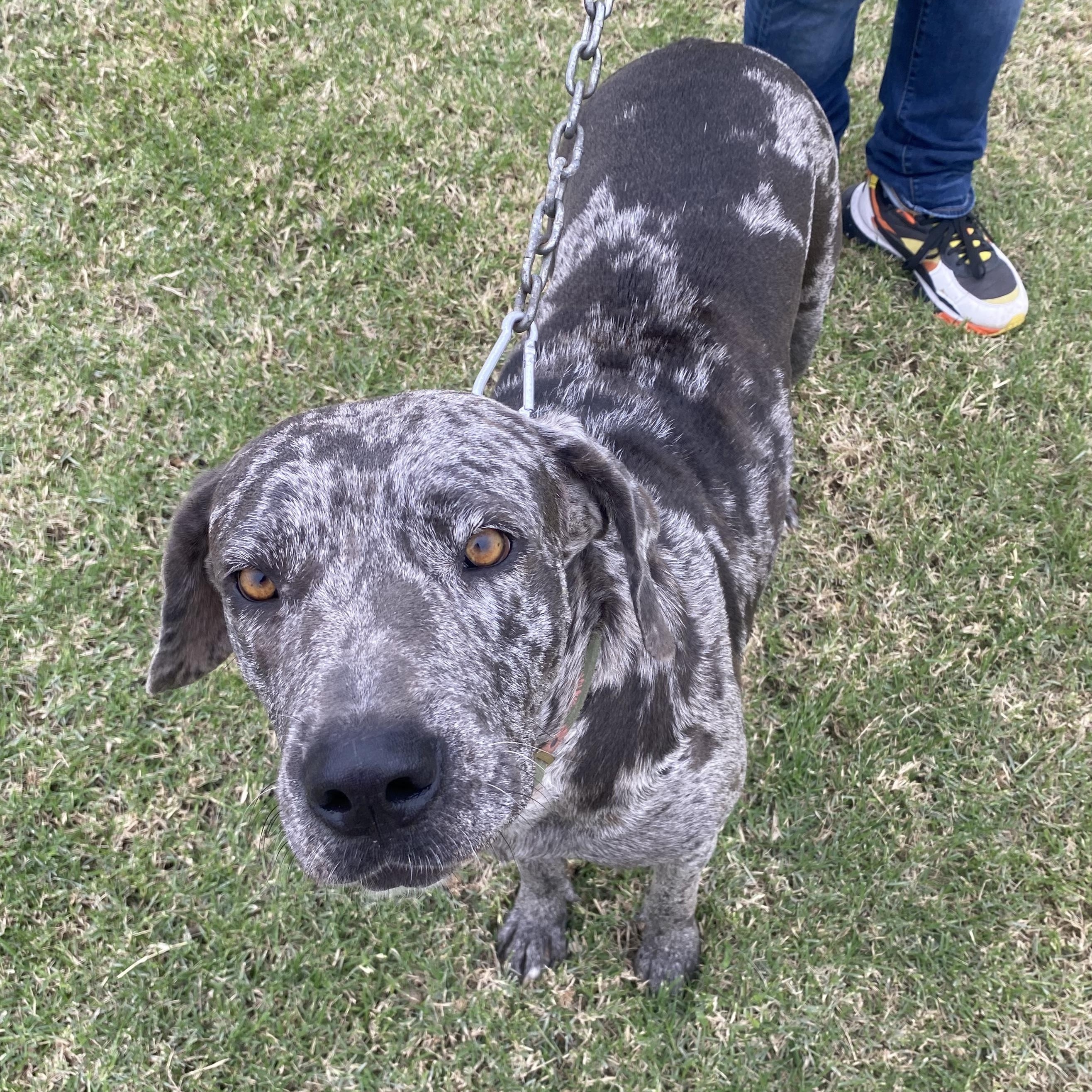 Marla — thumbnail 3