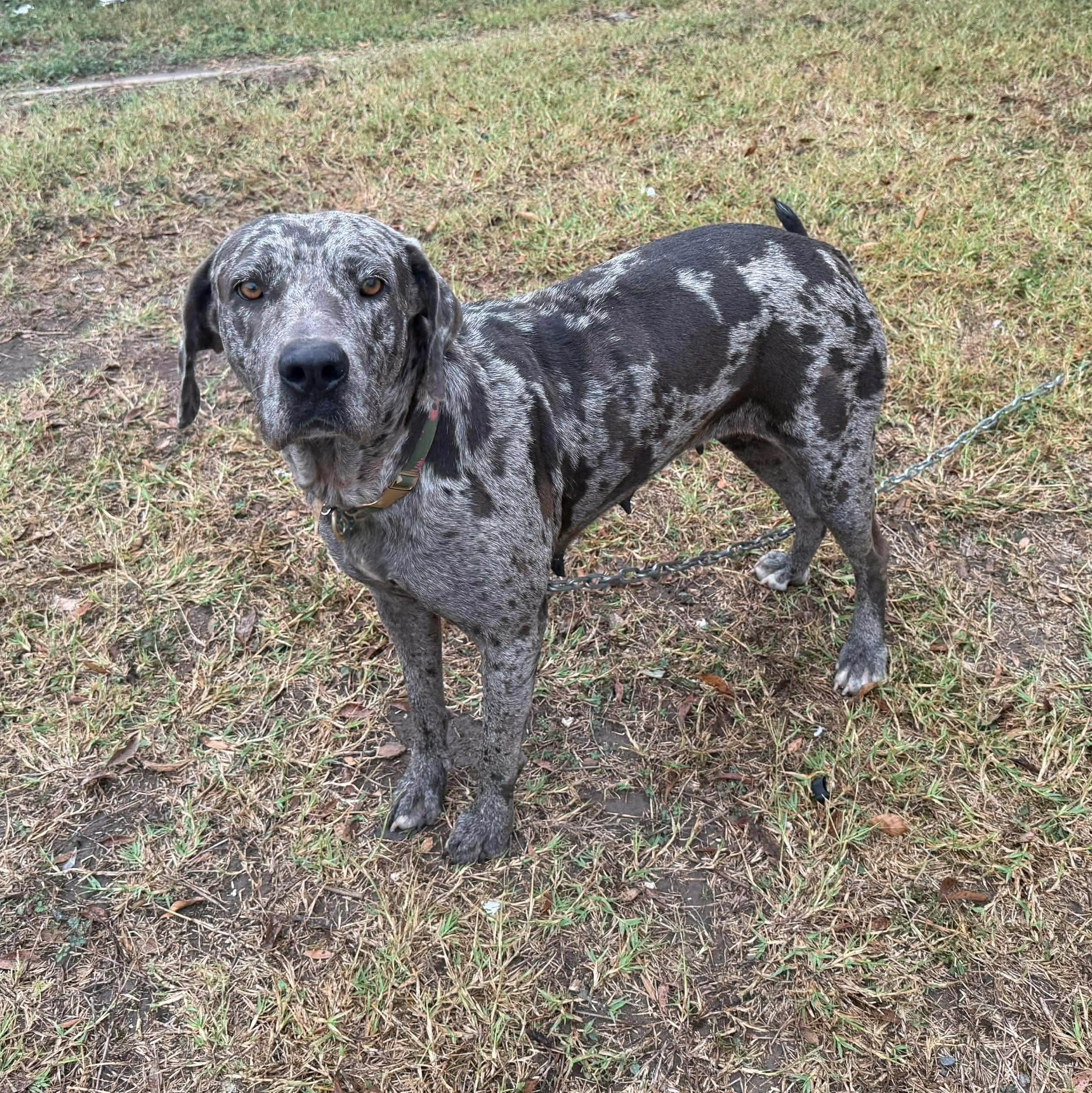 Marla — thumbnail 4