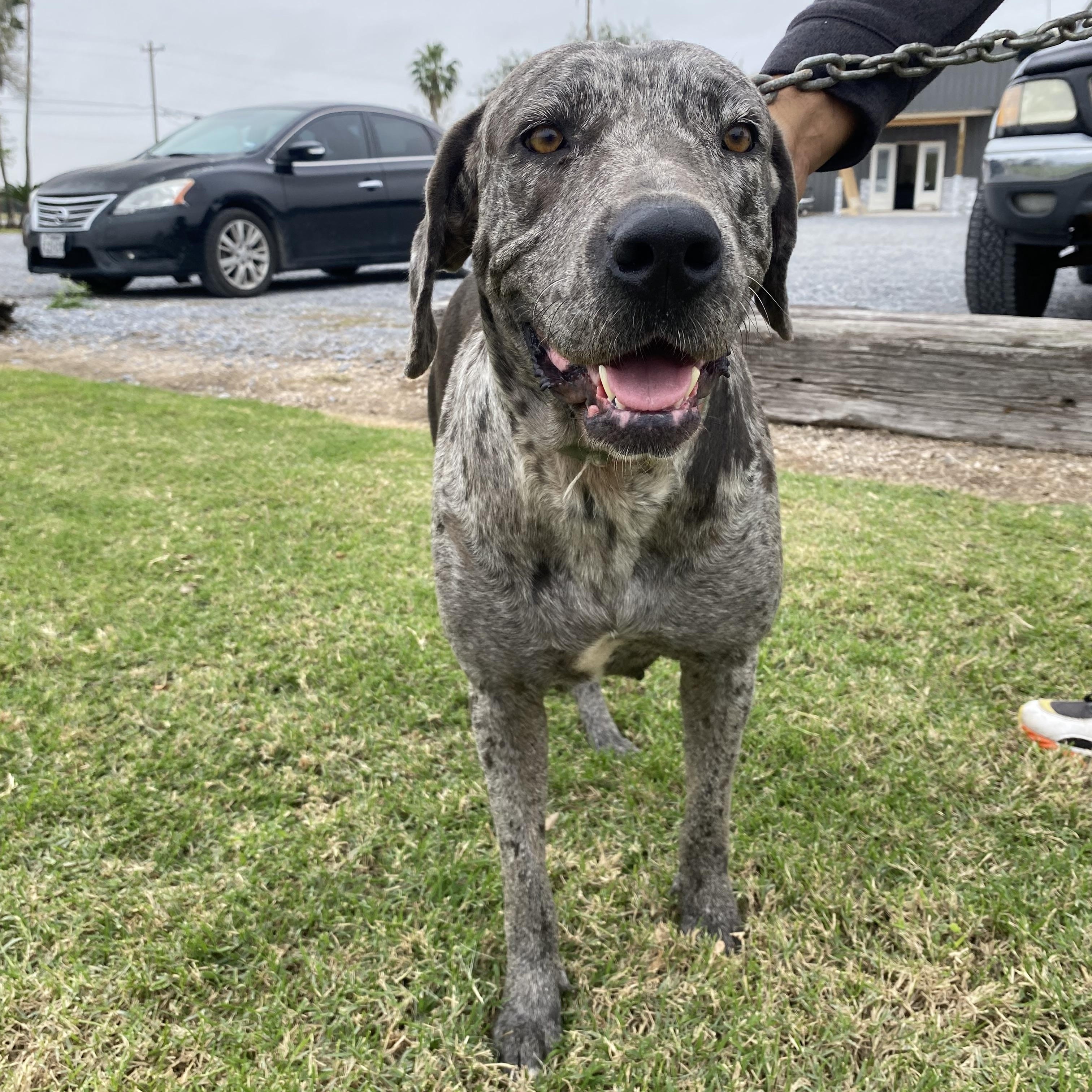 Marla — thumbnail 5