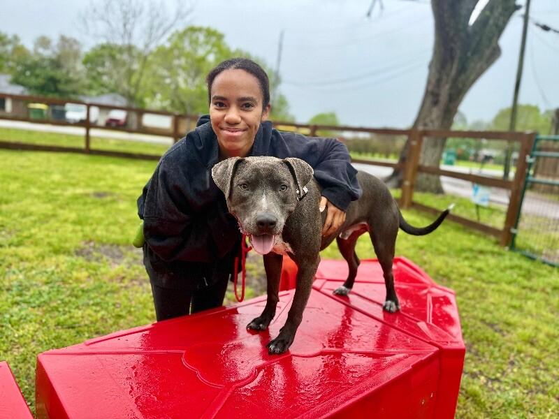 Sammy Simply so sweet 4