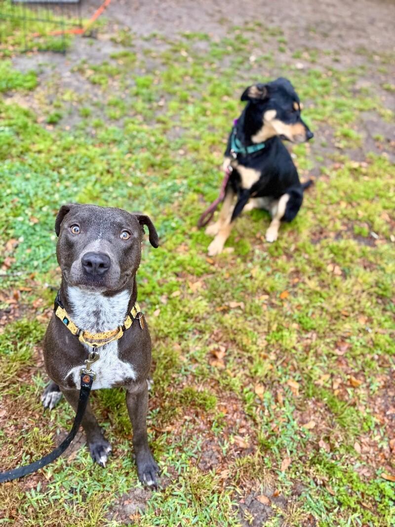 Sammy Simply so sweet 3