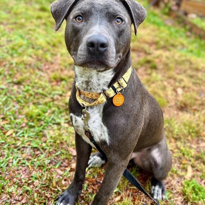 Sammy Simply so sweet 1