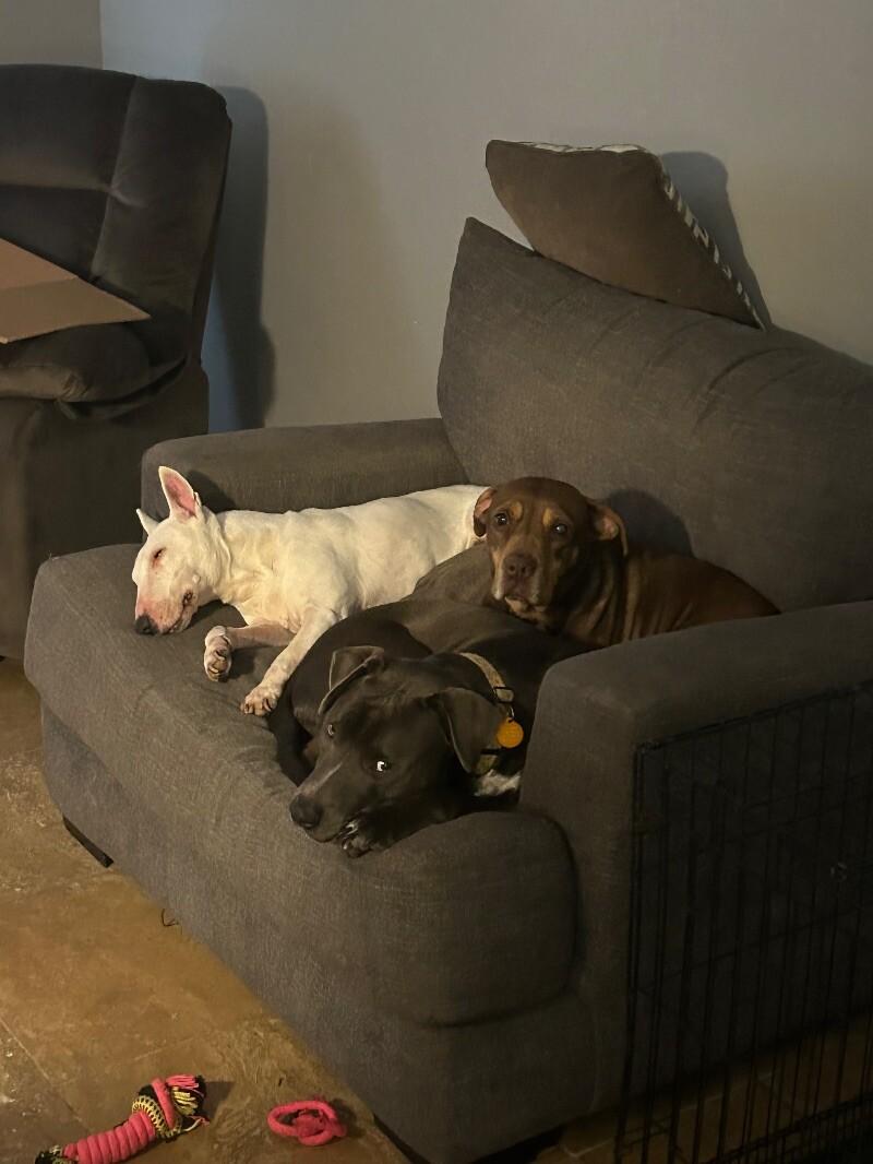 Sammy Simply so sweet 2