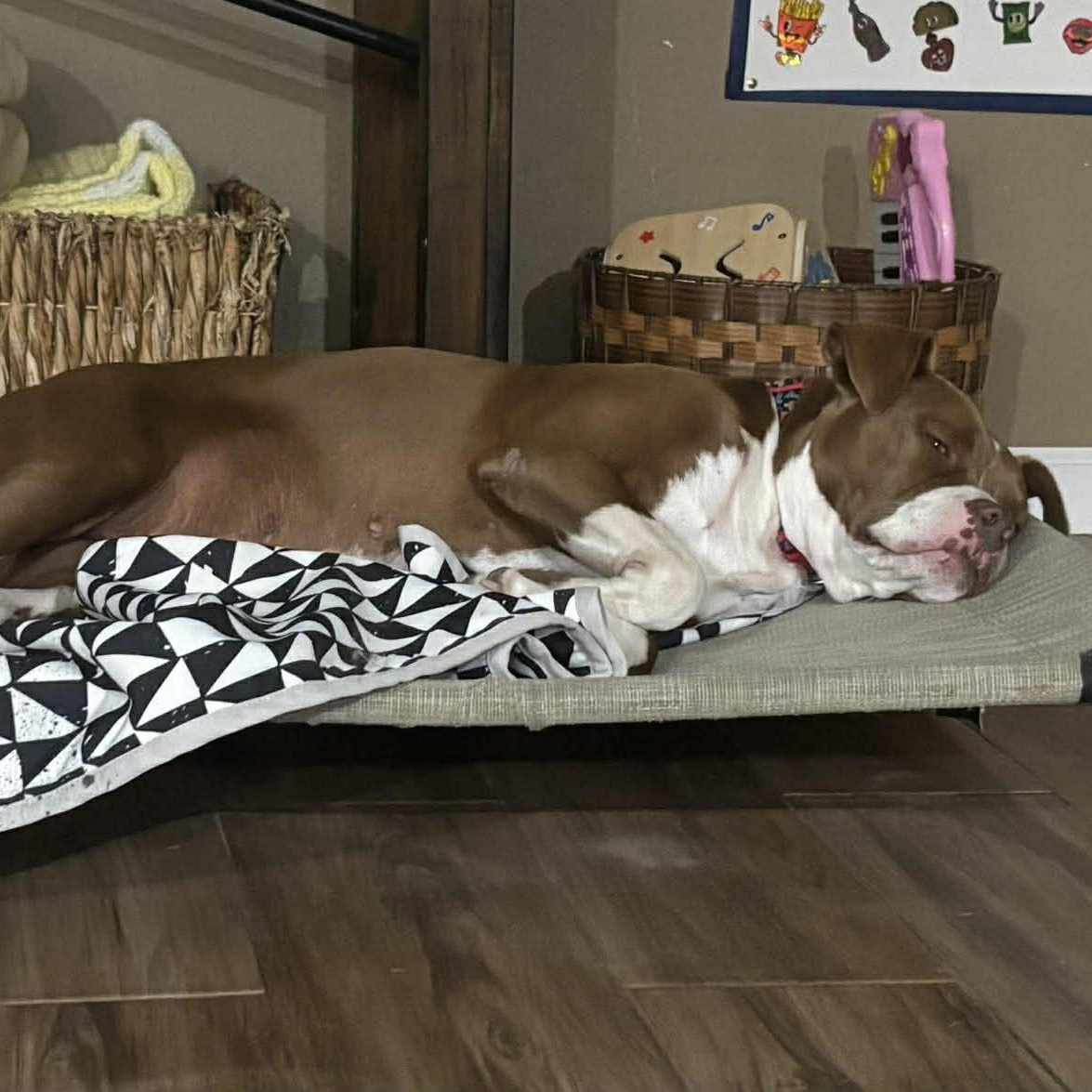 Dolce — thumbnail 5