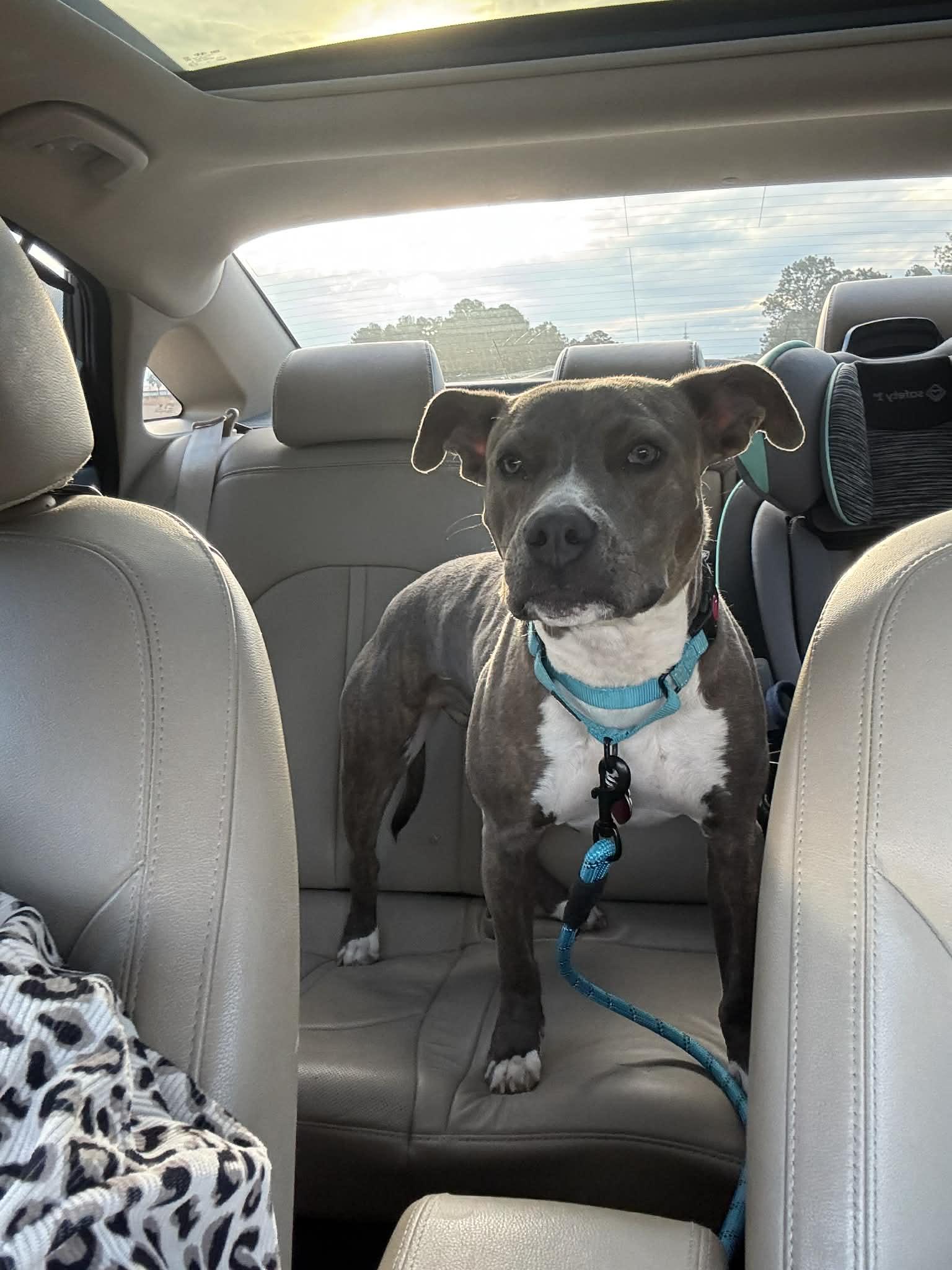 Keeley — thumbnail 2