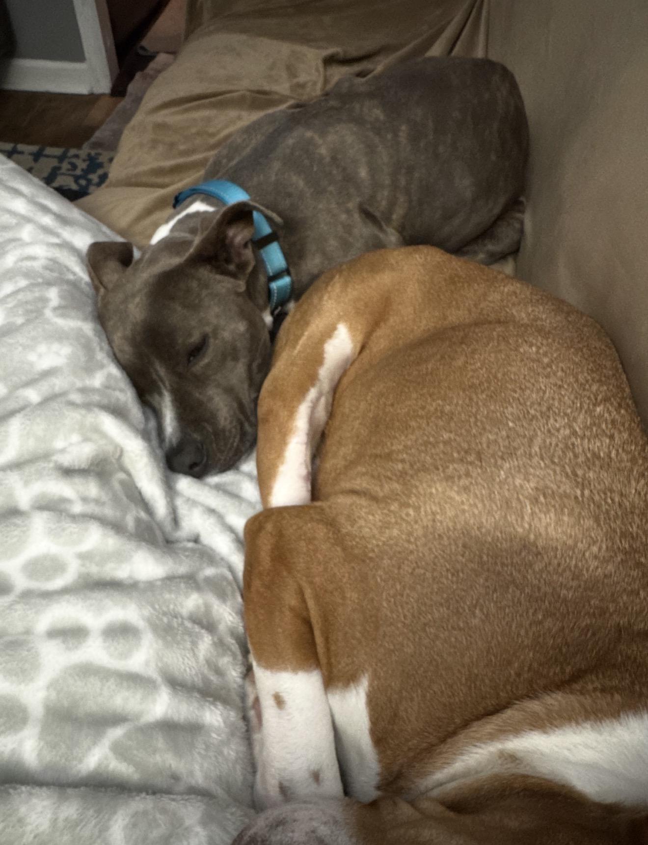 Keeley — thumbnail 3