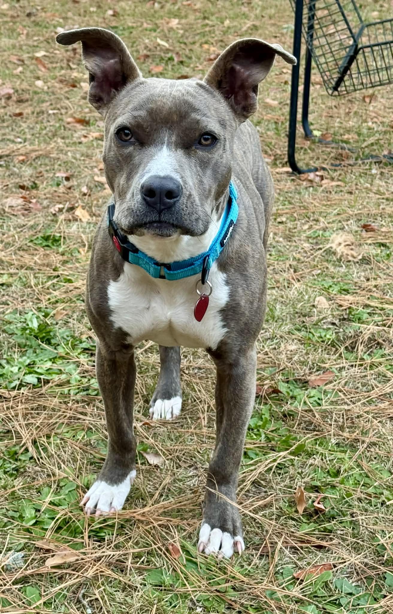 Keeley — thumbnail 4