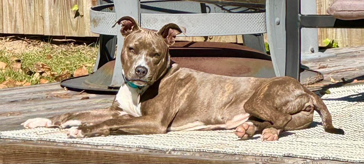 Keeley — thumbnail 5