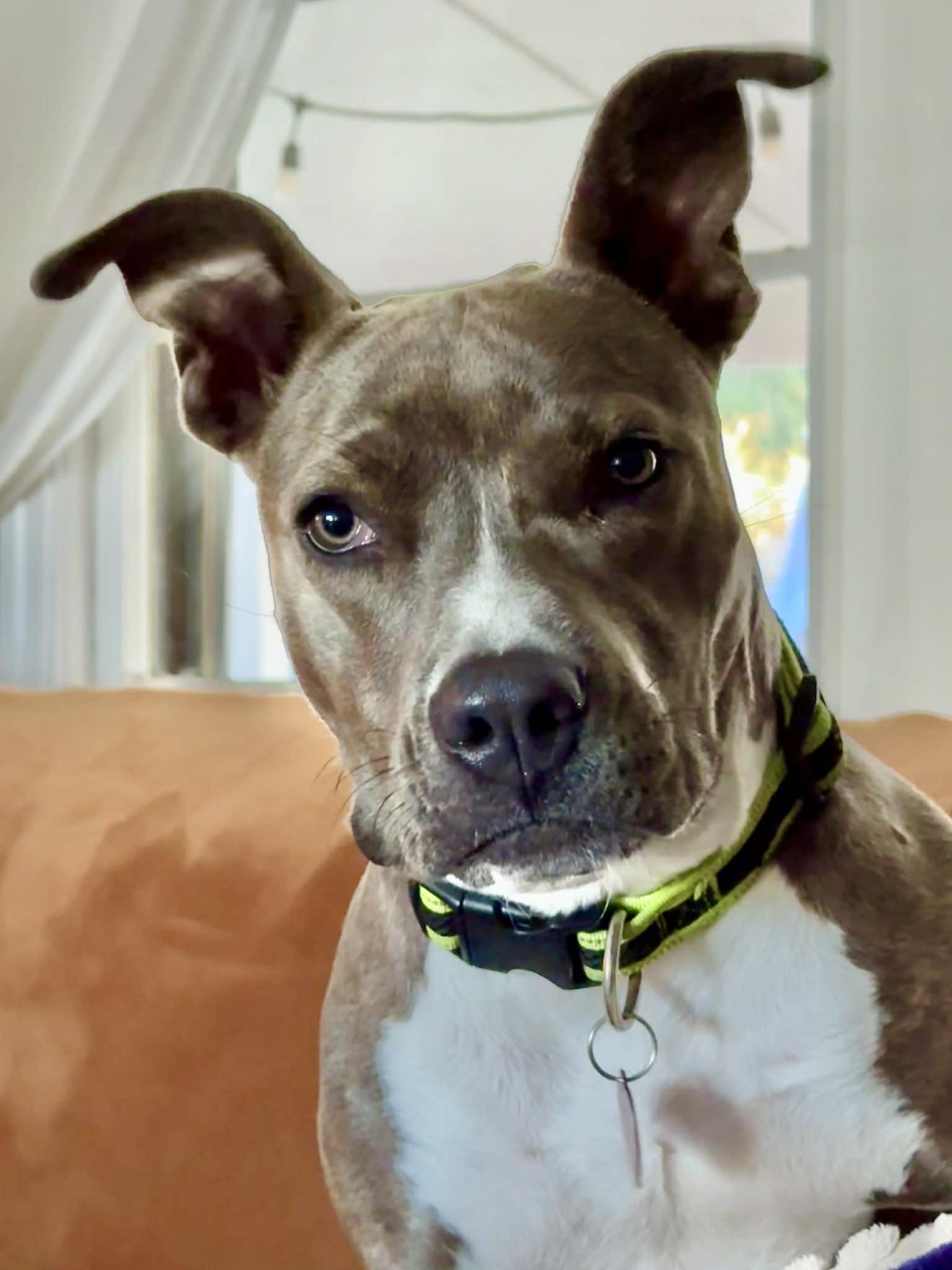 Keeley — thumbnail 6