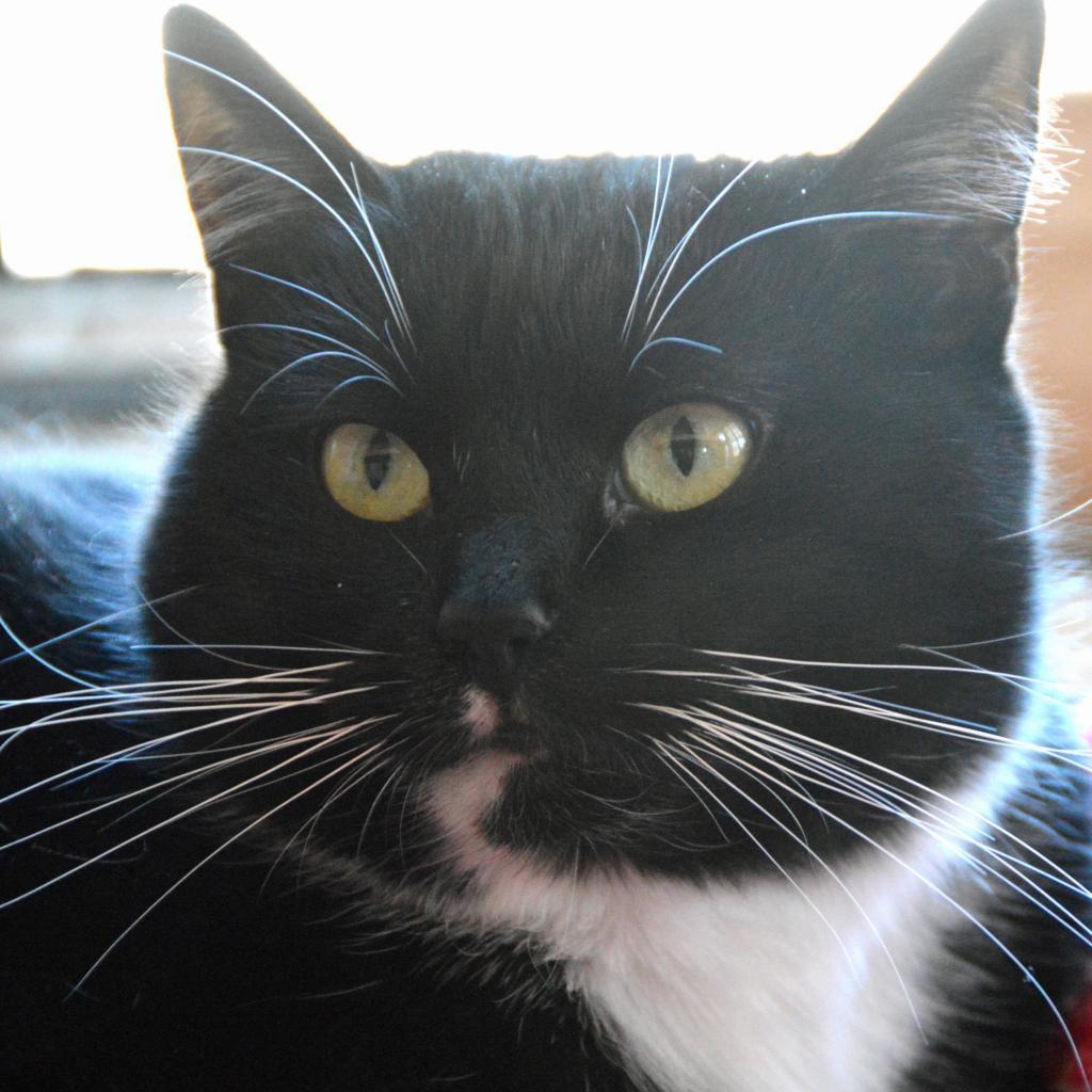 Frannie — thumbnail 4