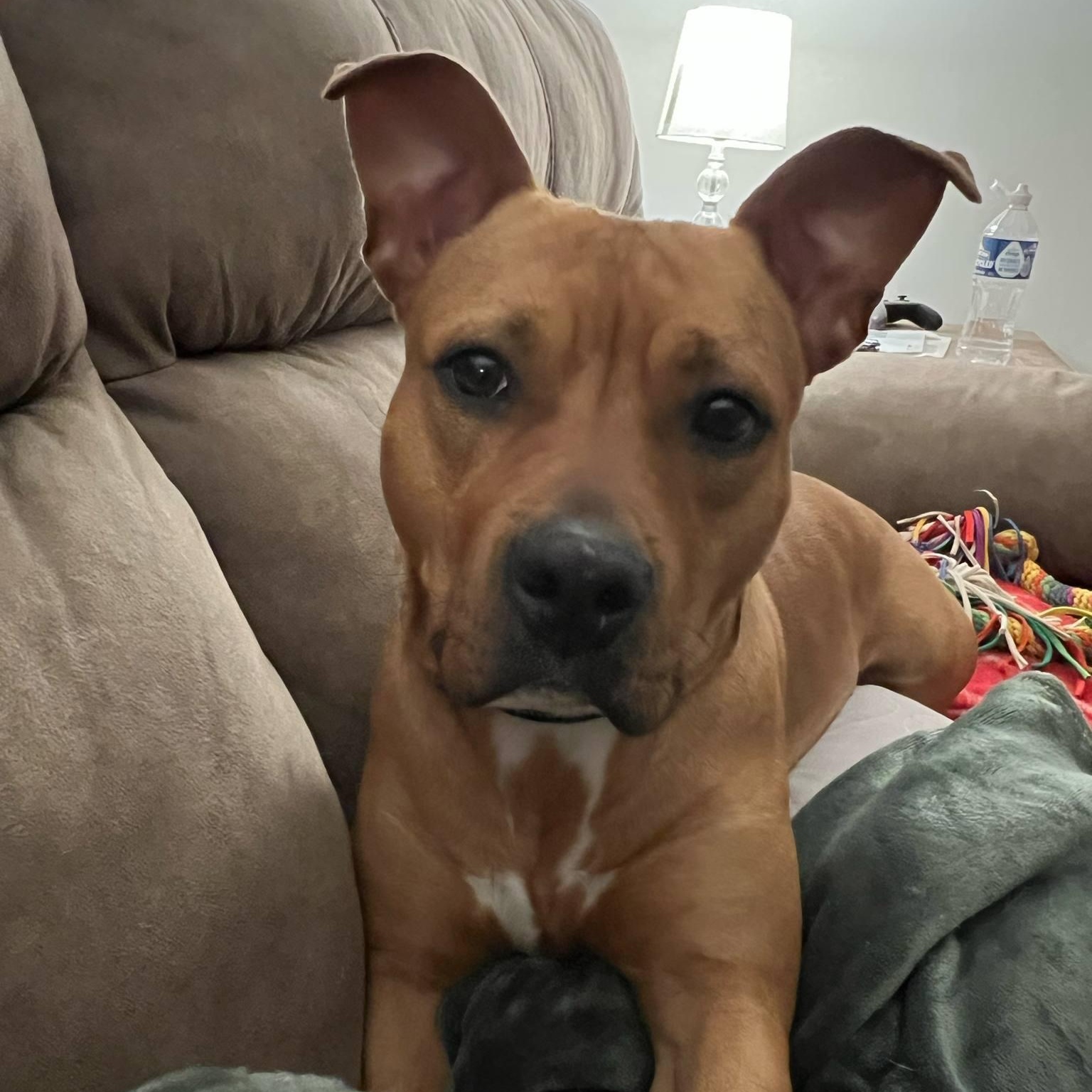 Sabine
