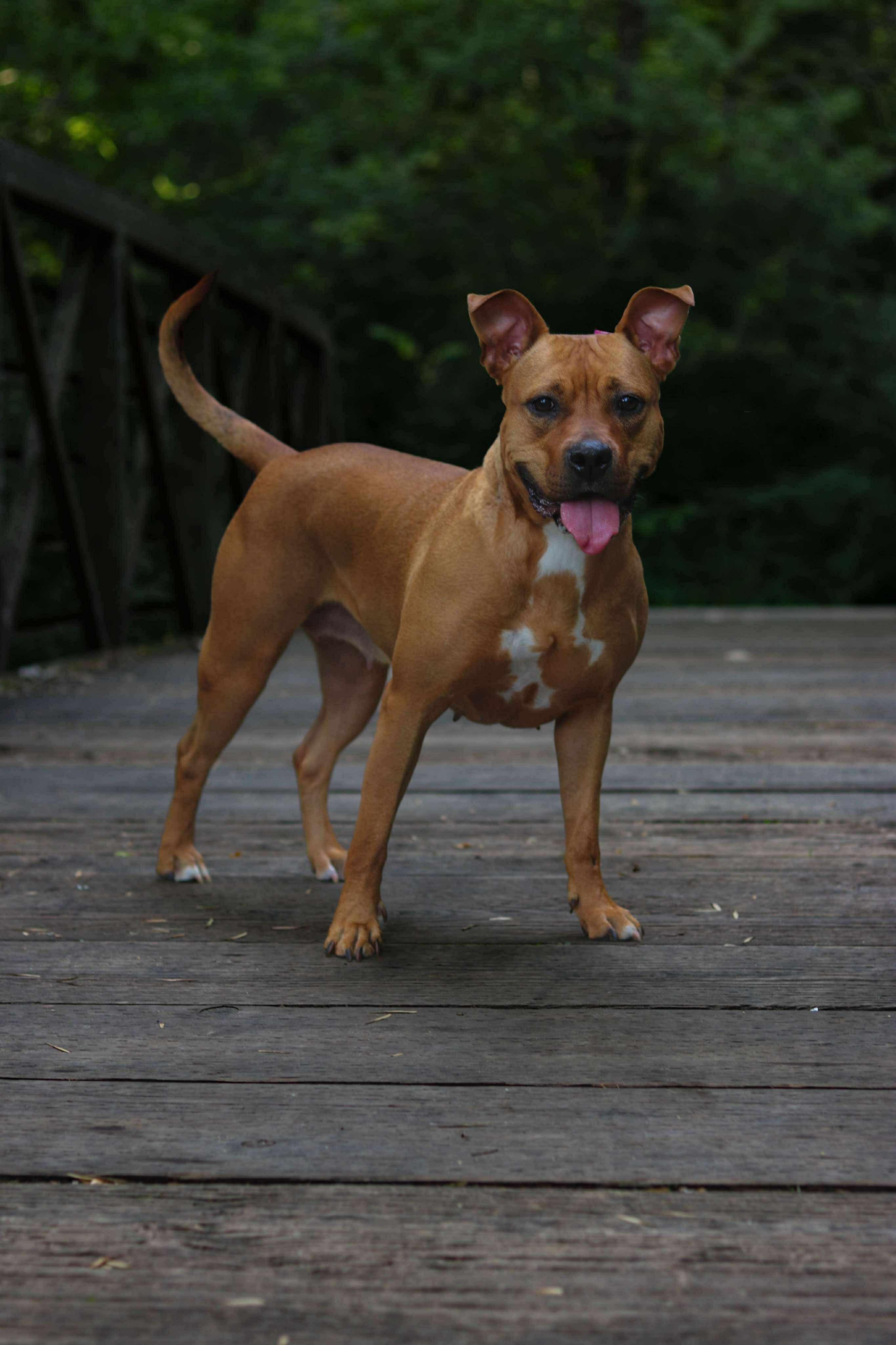 Sabine