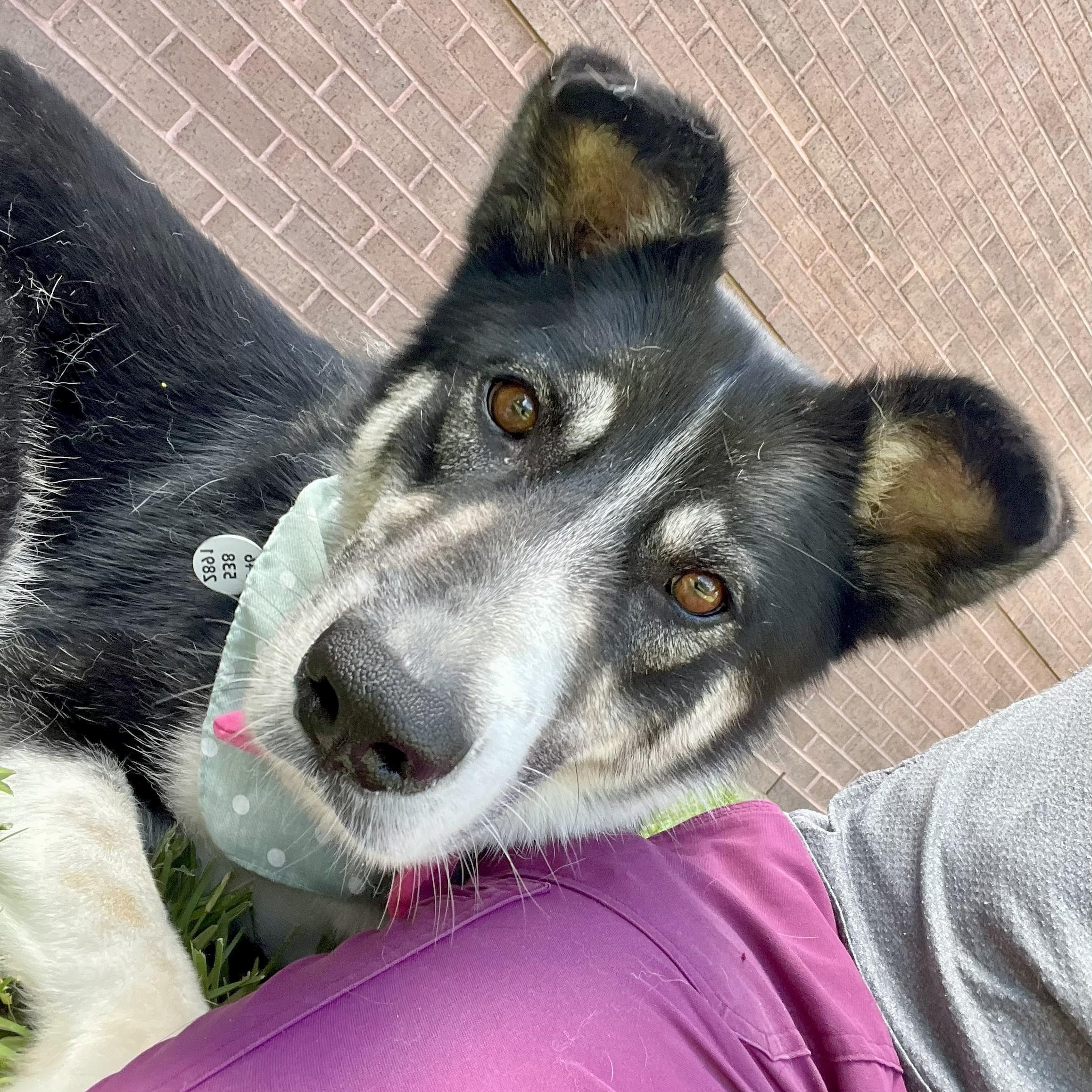 Mileena — thumbnail 3