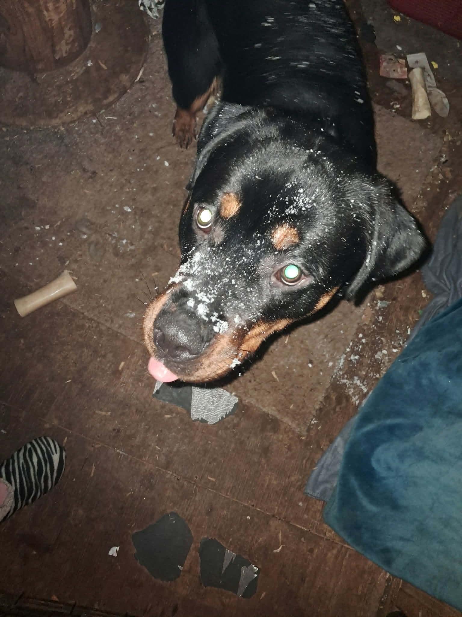 Brina — thumbnail 5