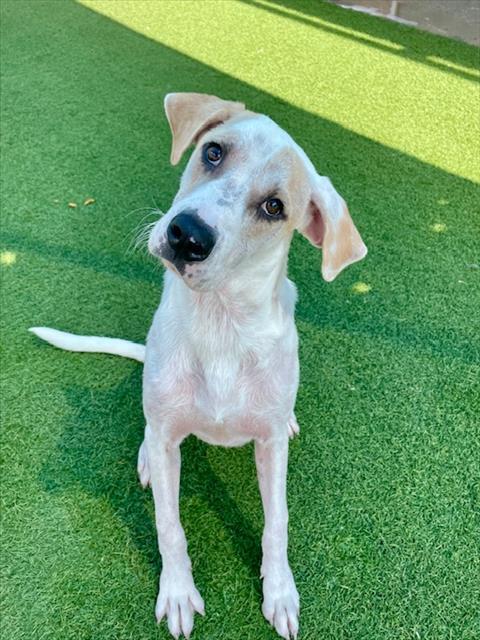 HOMER — thumbnail 2