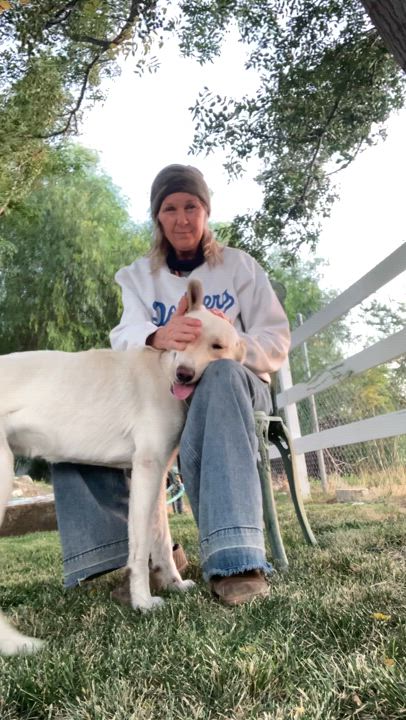 Enlarge Sky, a Adoptable mixed breed in santa barbara, CA video 5/6