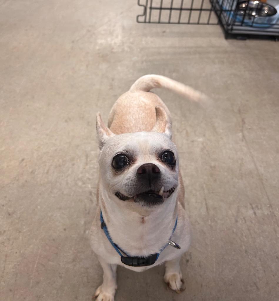 Minnie — thumbnail 2