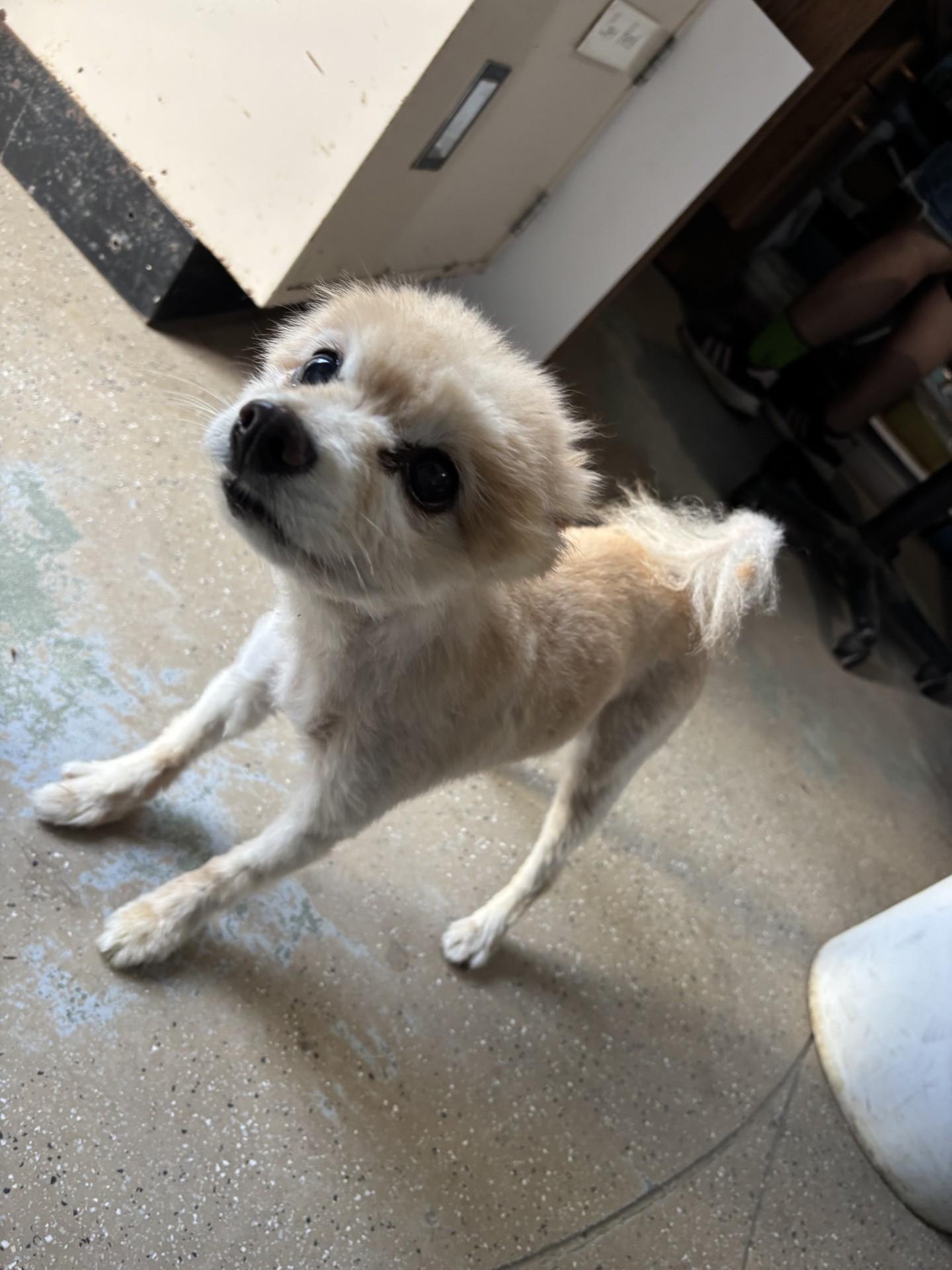 OLD LADY photo 5