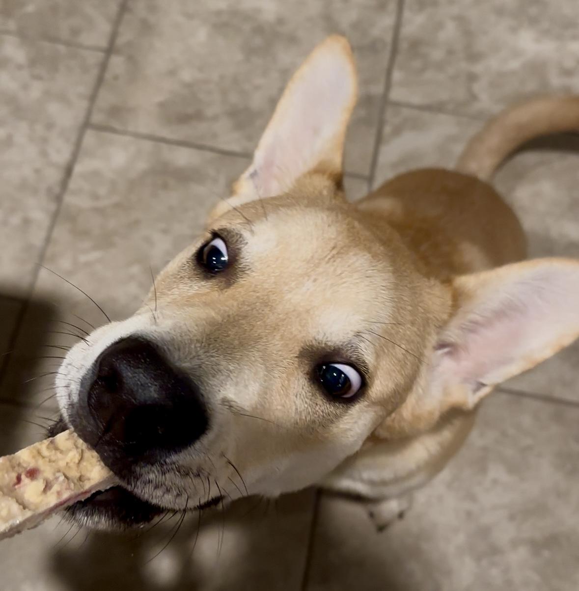 Maxx — thumbnail 2