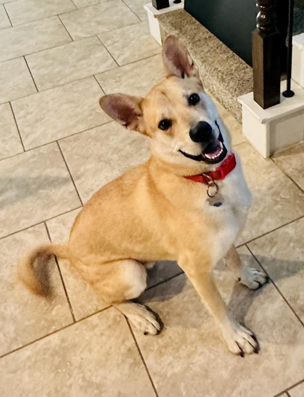 Maxx — thumbnail 5