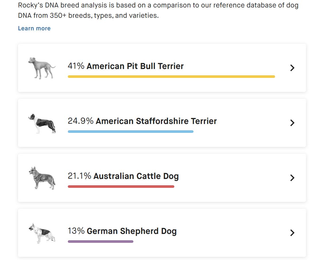 Rocky, a Adoptable mixed breed in Elk, WA image 2/2