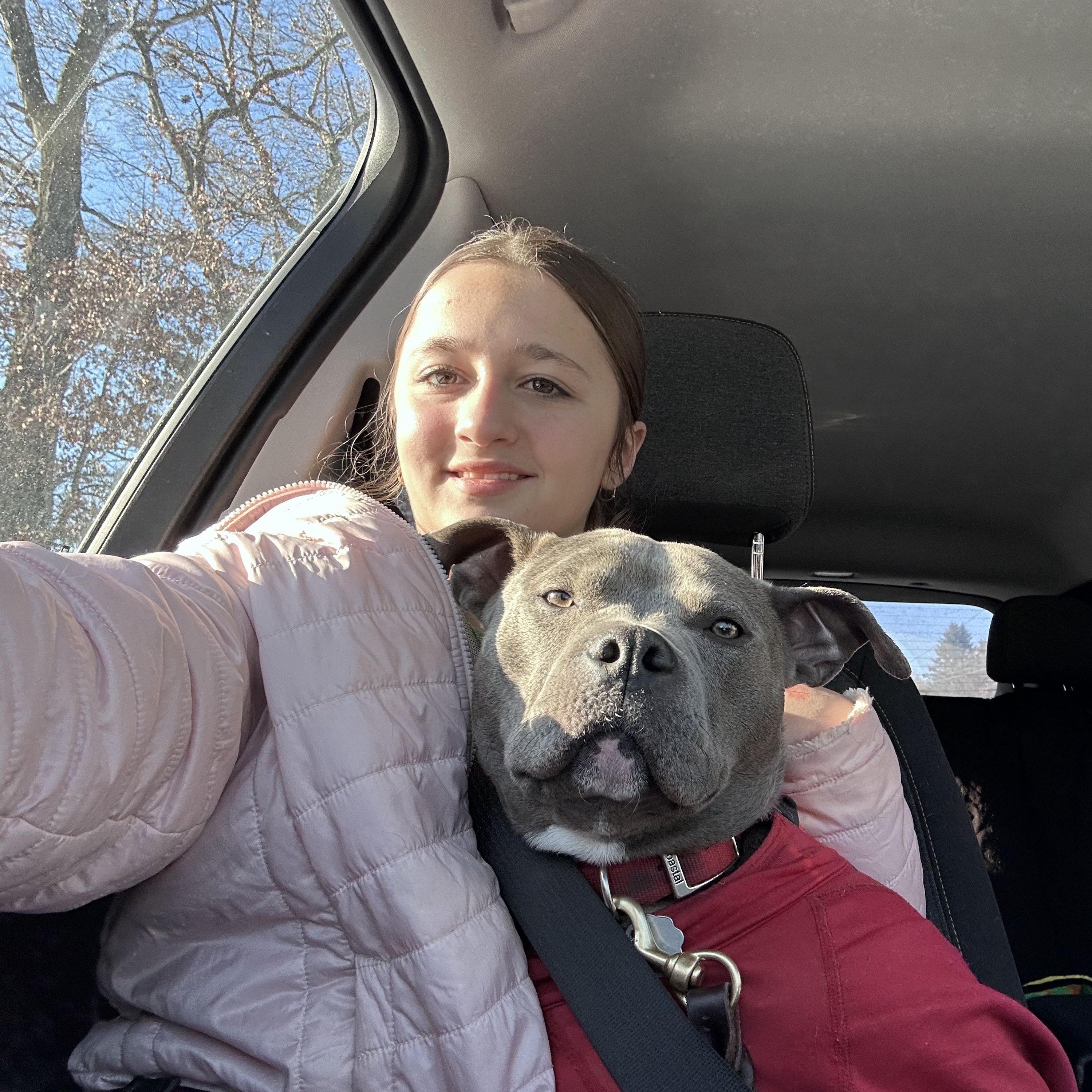 Enlarge Addie, a Adoptable mixed breed in Oxford, MI image 3/6