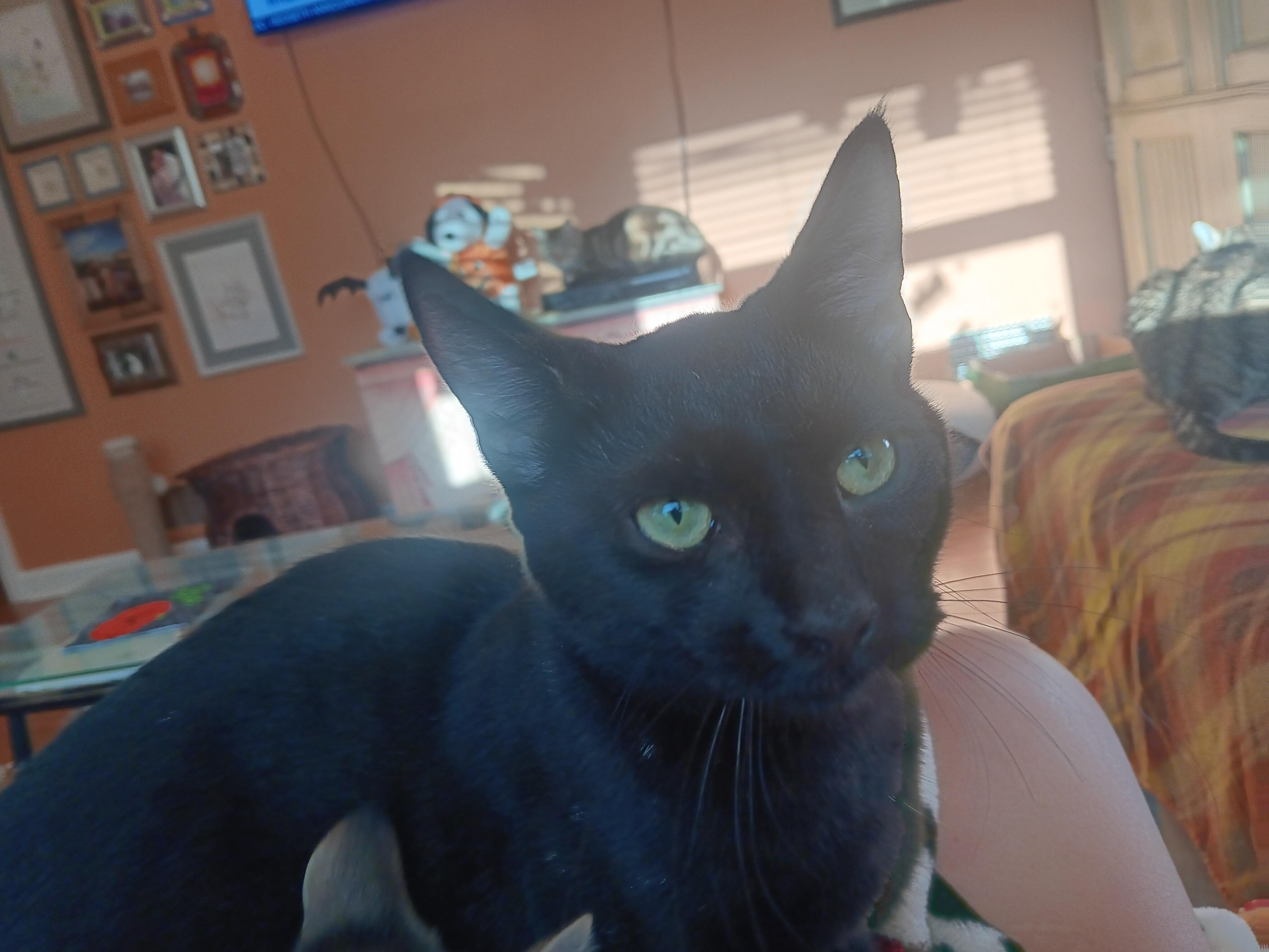 Craig n' DayDay — thumbnail 1