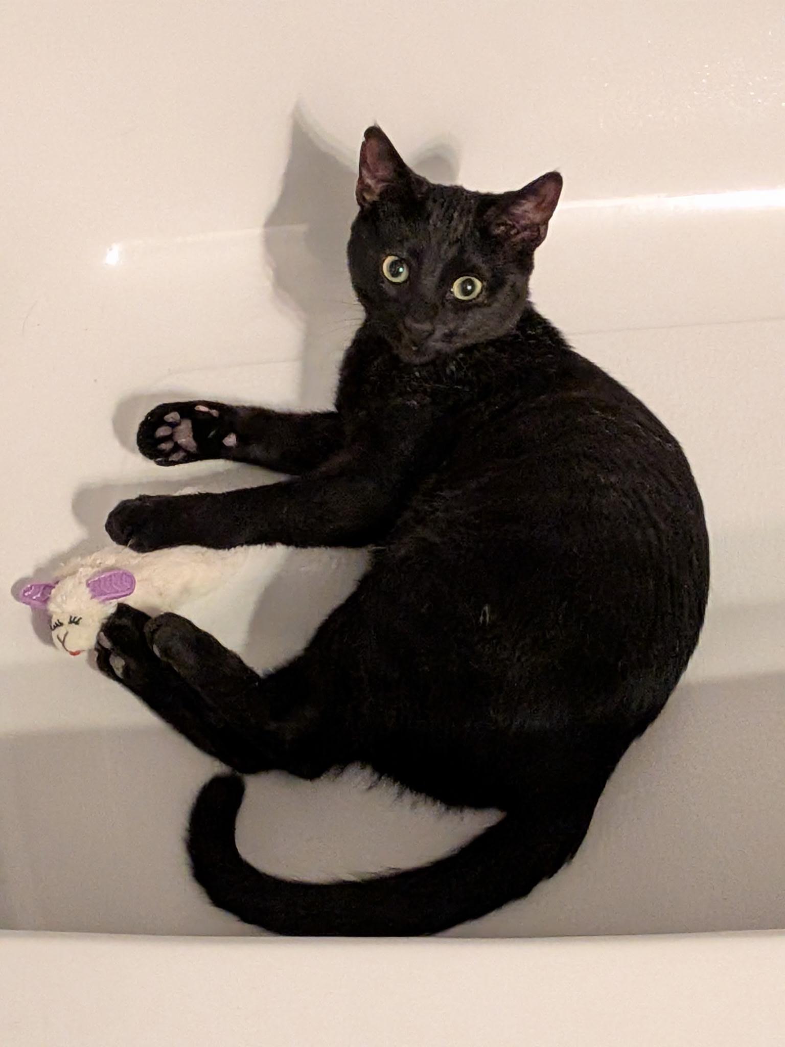 Craig n' DayDay — thumbnail 4