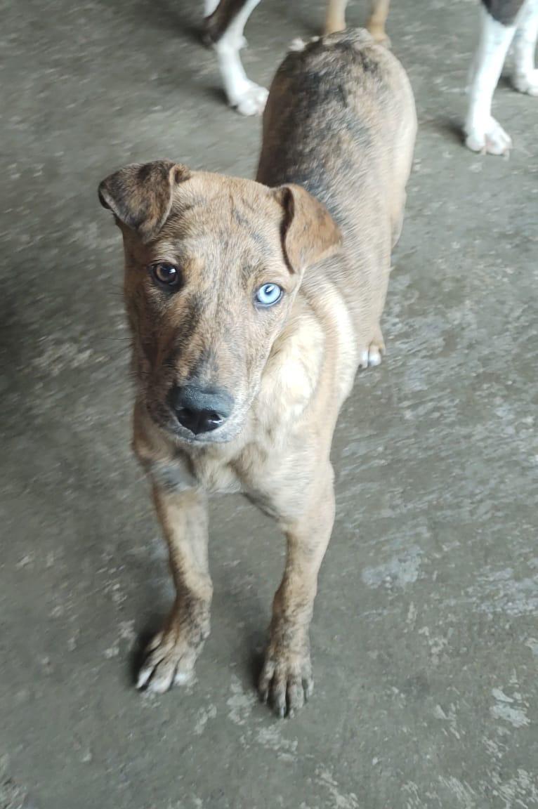 KATY, Young Female unknown