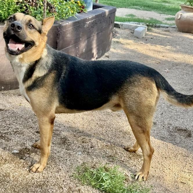 Roger — thumbnail 4