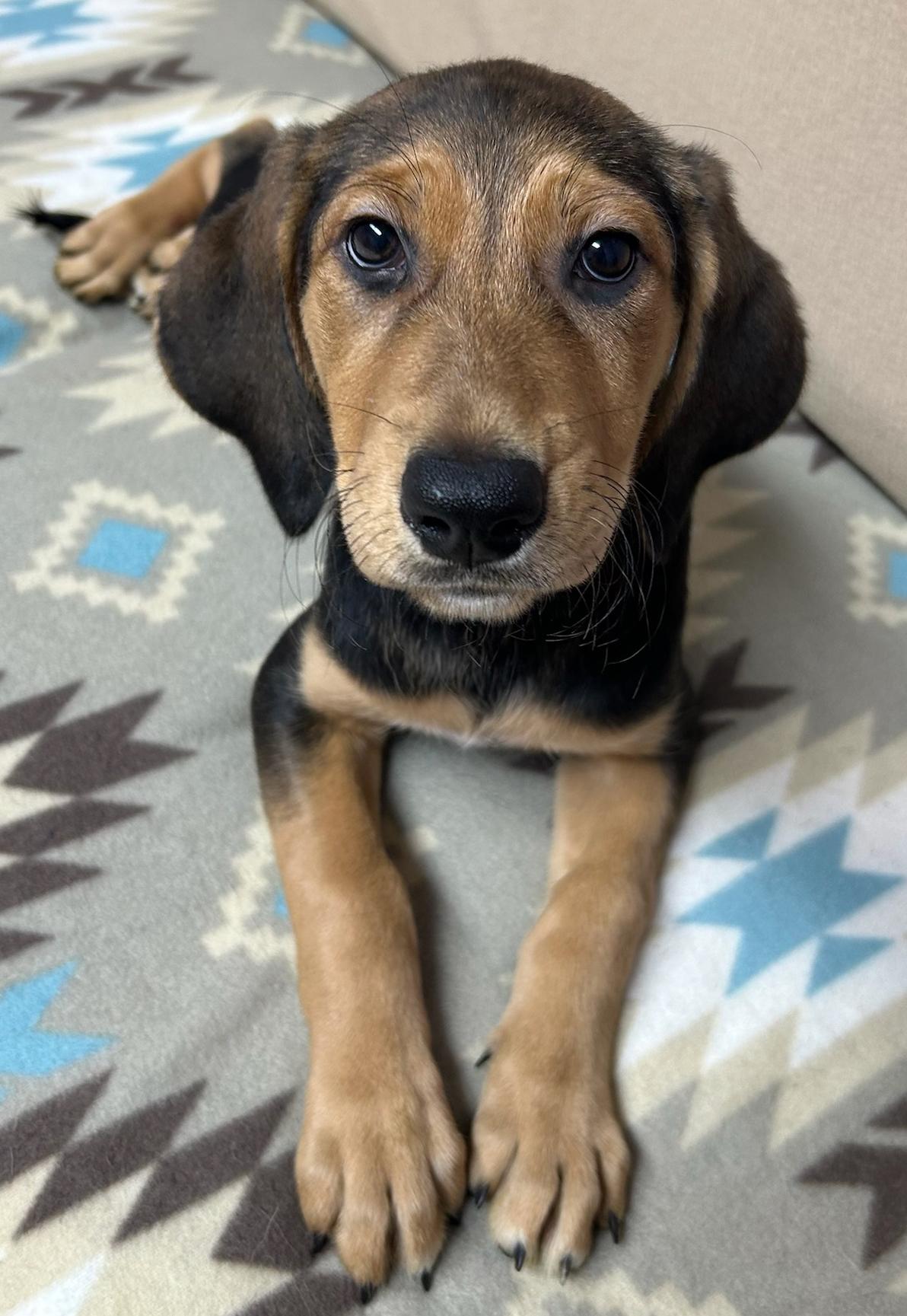 Ruby