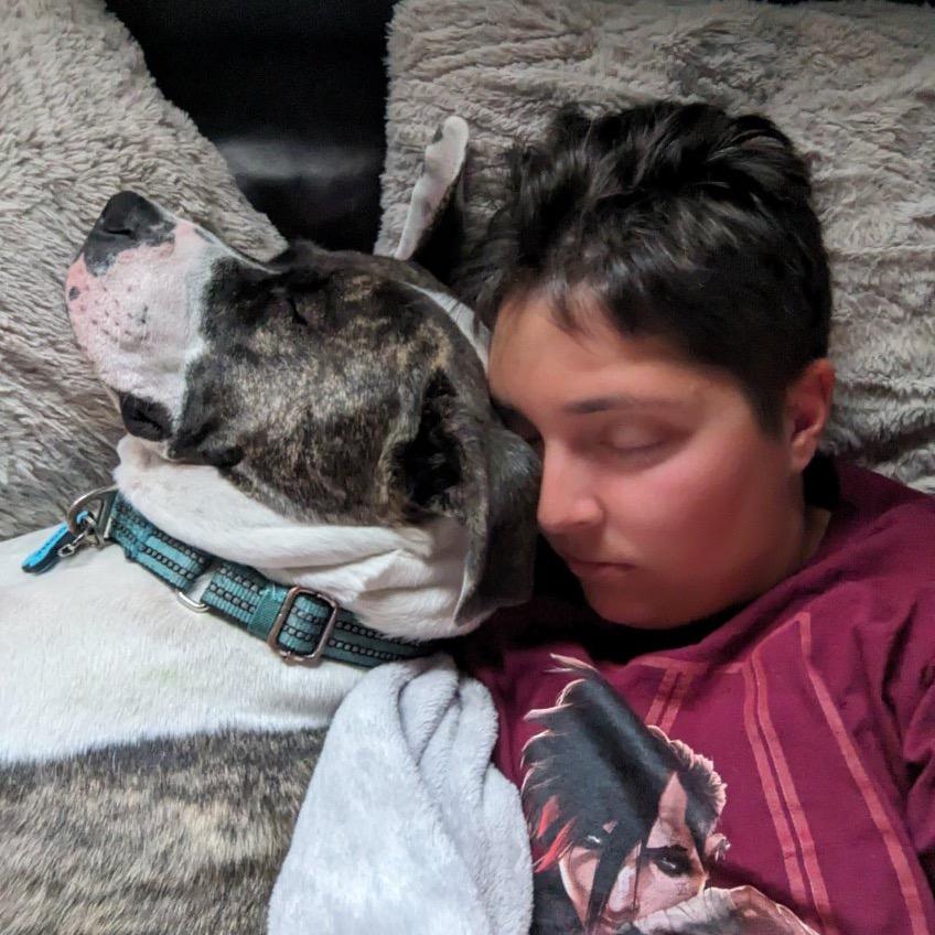 Boom, a Adoptable Pit Bull Terrier in Chicago, IL image 2/6