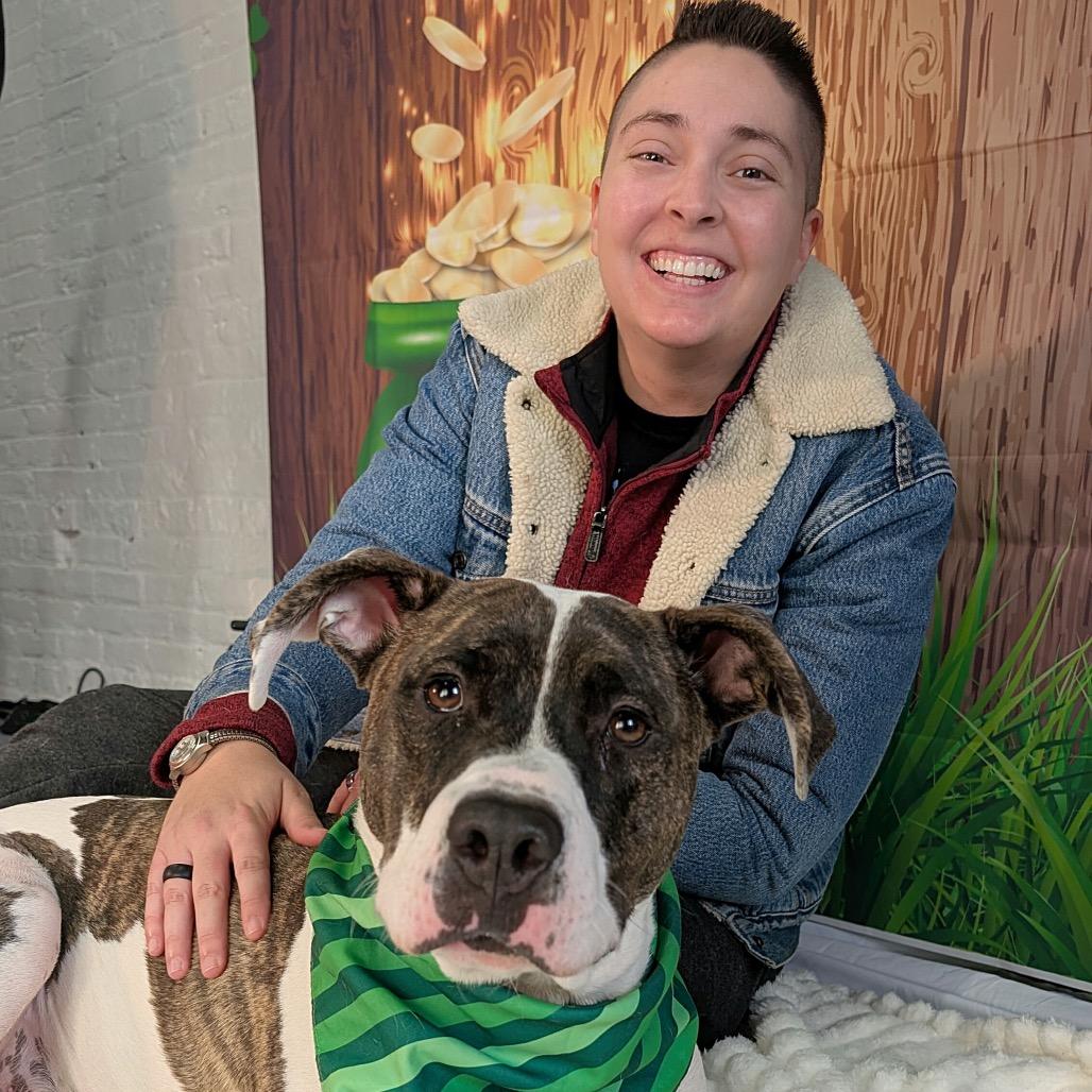 Boom, a Adoptable Pit Bull Terrier in Chicago, IL image 6/6