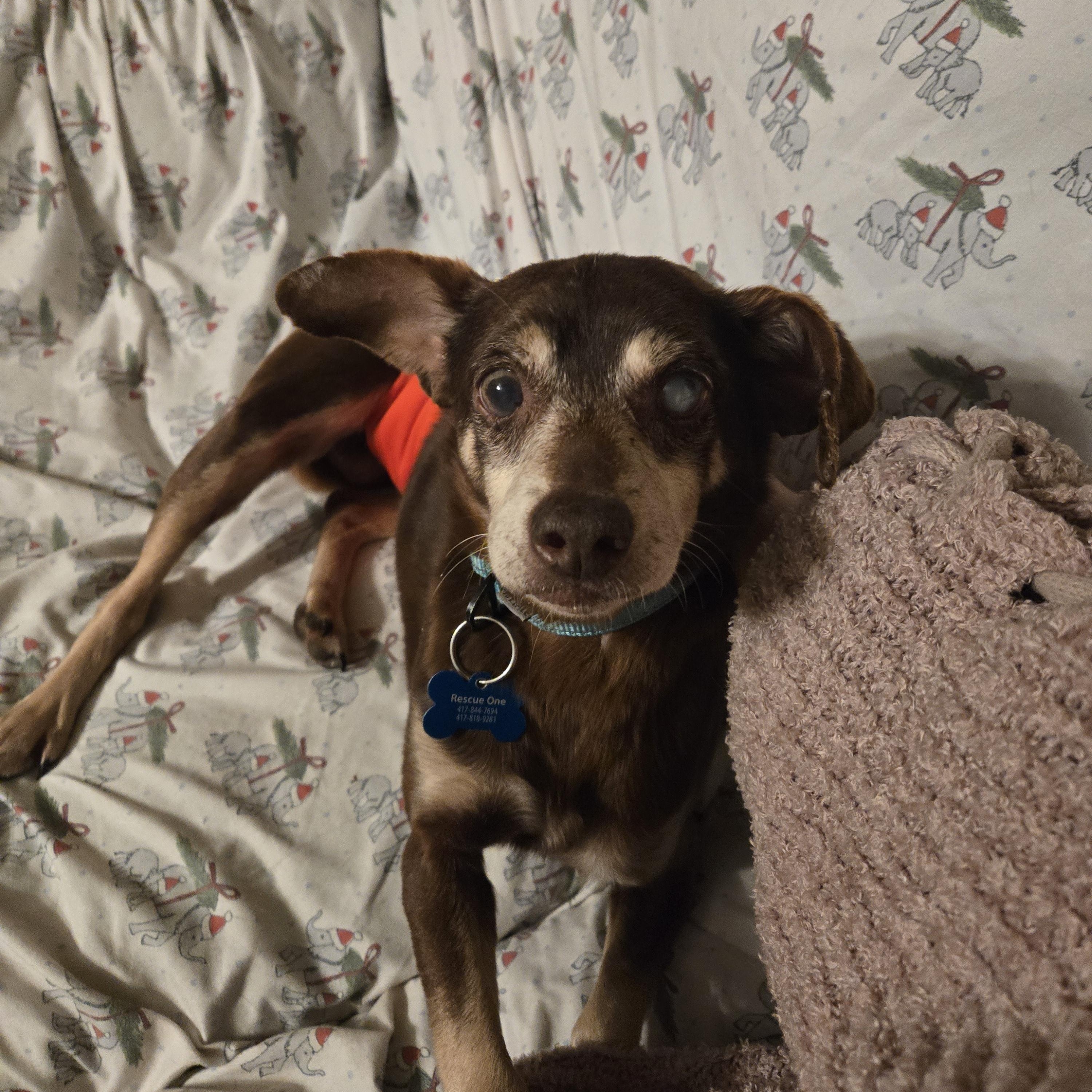 Abuelo — thumbnail 3