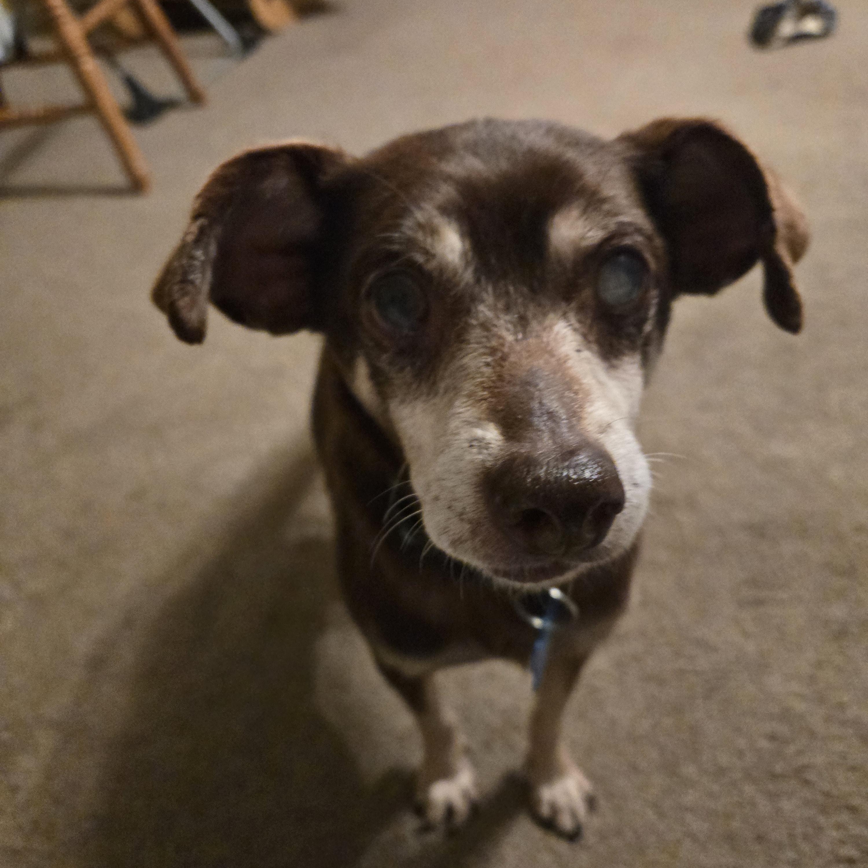 Abuelo — thumbnail 5