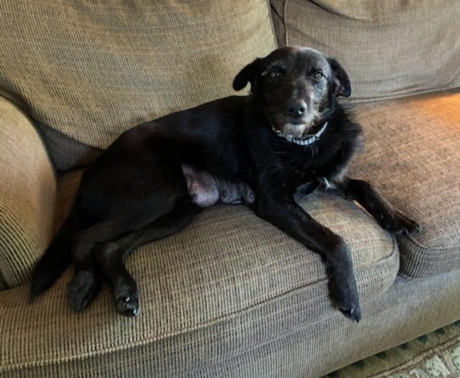 Charlotte thumbnail 3