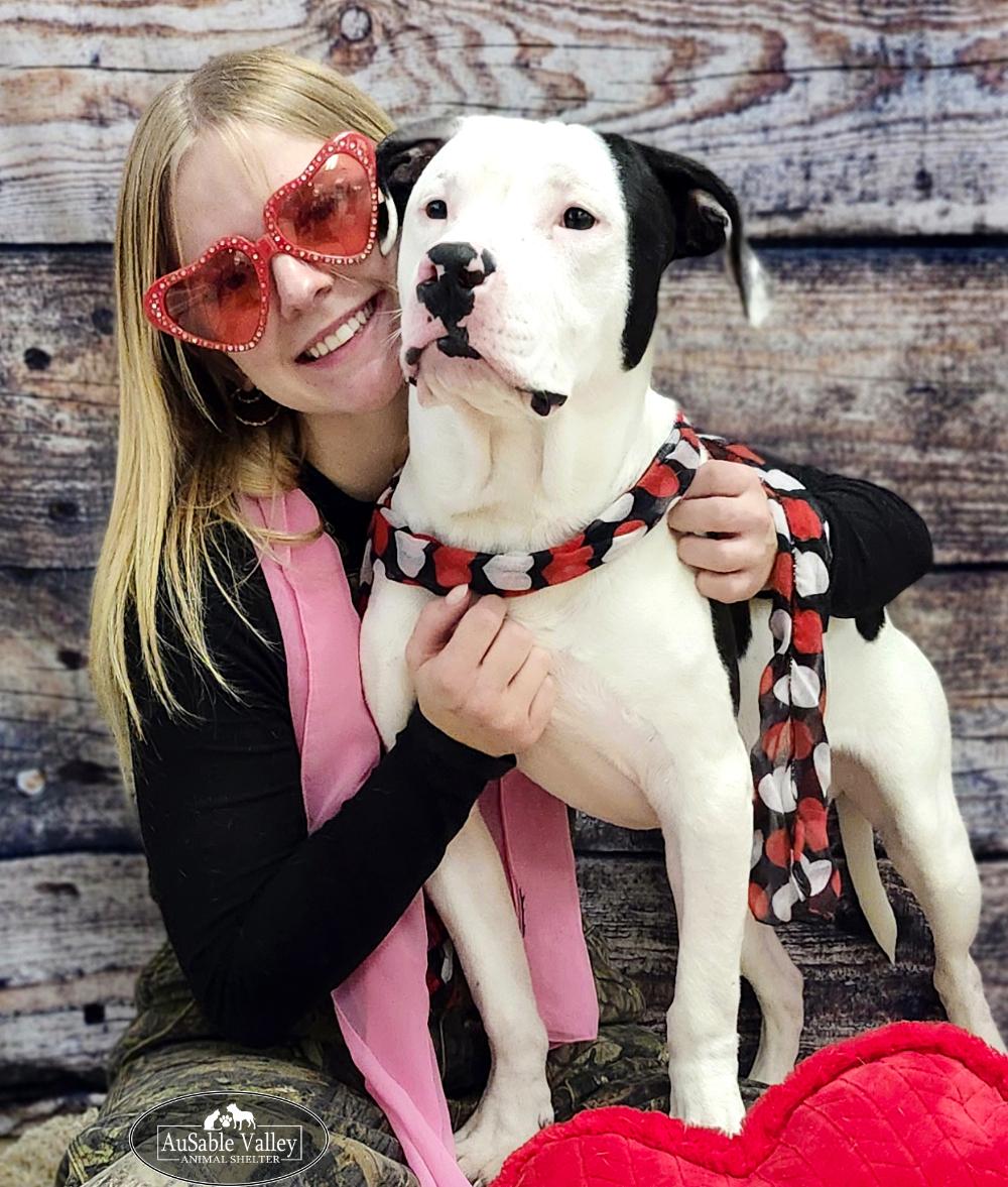 Paxton, a ADOPTABLE Mixed Breed in Grayling, MI image 2/4