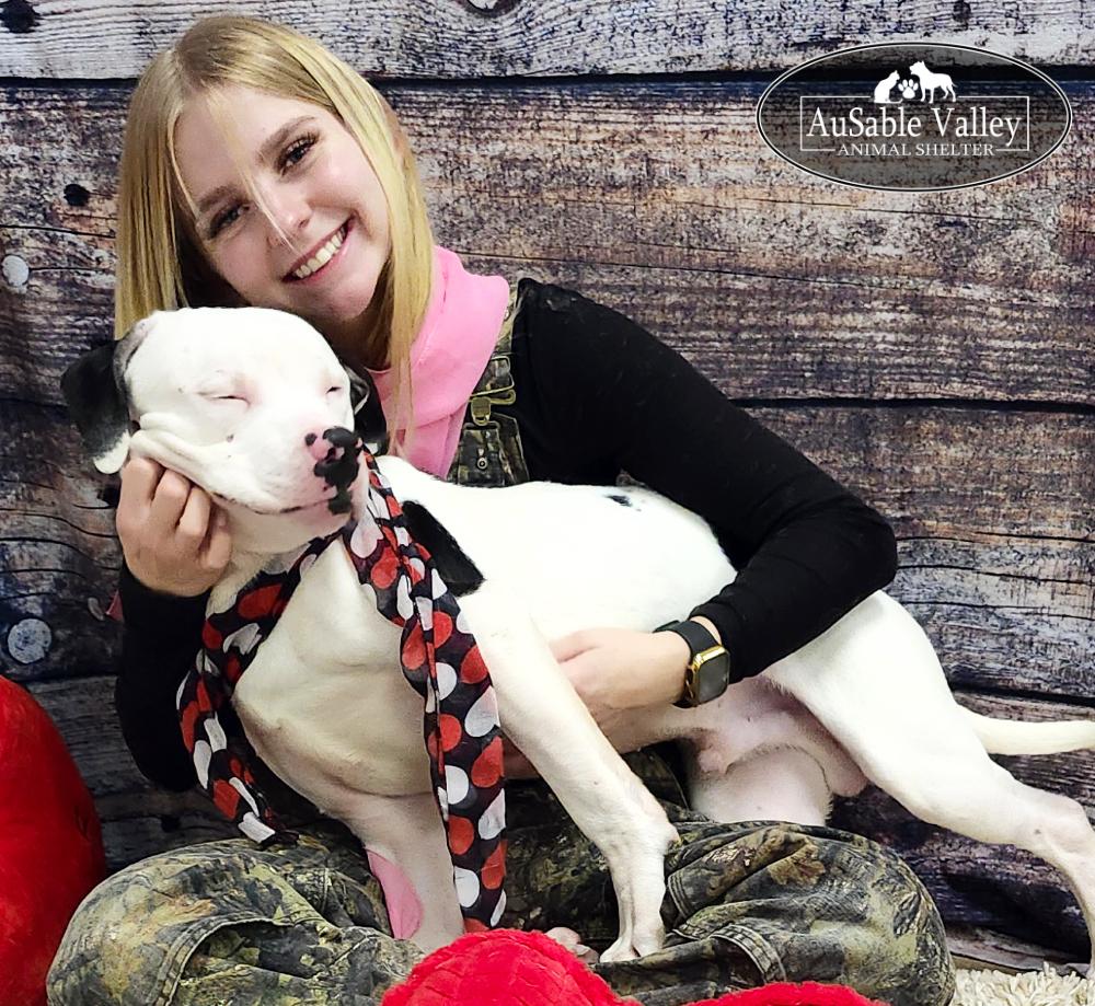 Enlarge Paxton, a ADOPTABLE Mixed Breed in Grayling, MI image 6/6