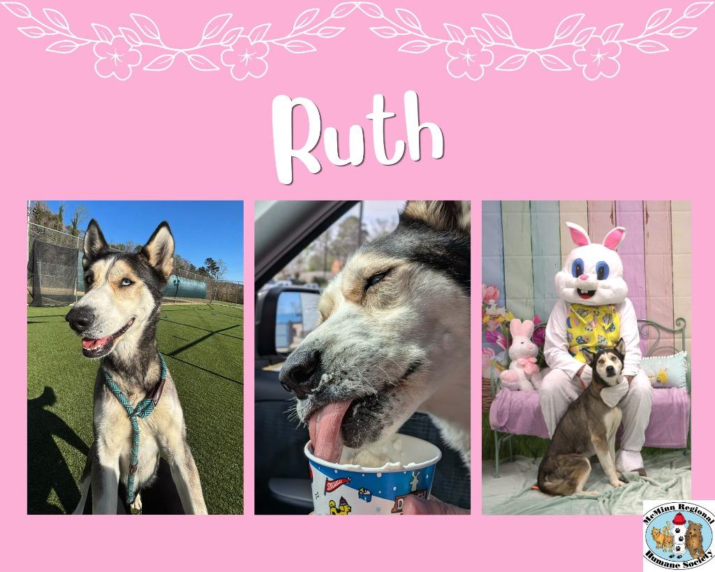 Ruth, Adoptable, Young Female Husky.