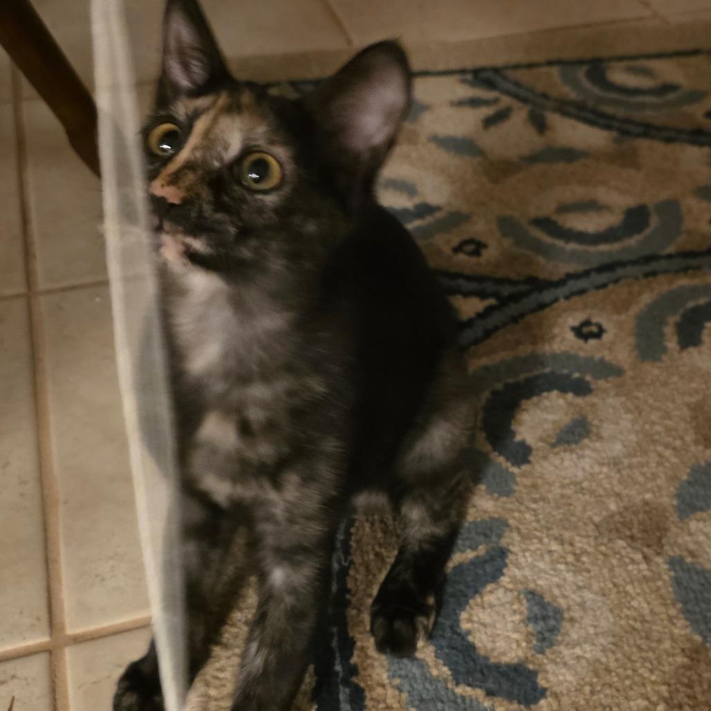 Maggie May photo