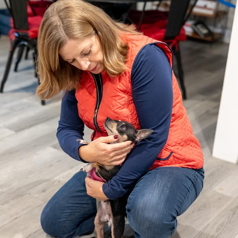 Minnie (Female), a Adoptable Chihuahua in West Grove, PA image 4/6