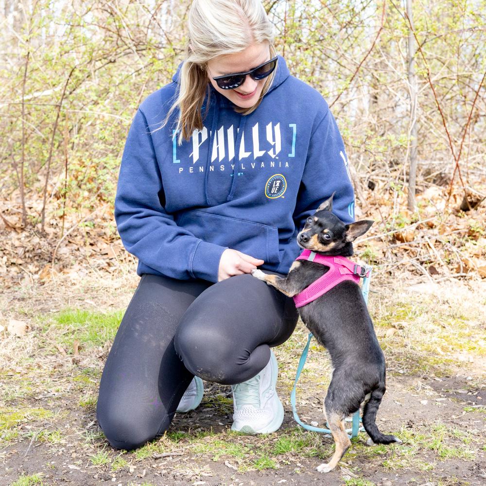 Enlarge Minnie  (Female), a Adoptable Chihuahua in West Grove, PA image 3/6