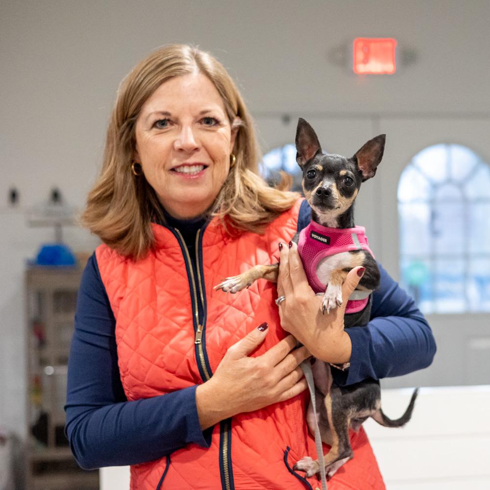 Minnie (Female), a Adoptable Chihuahua in West Grove, PA image 2/6